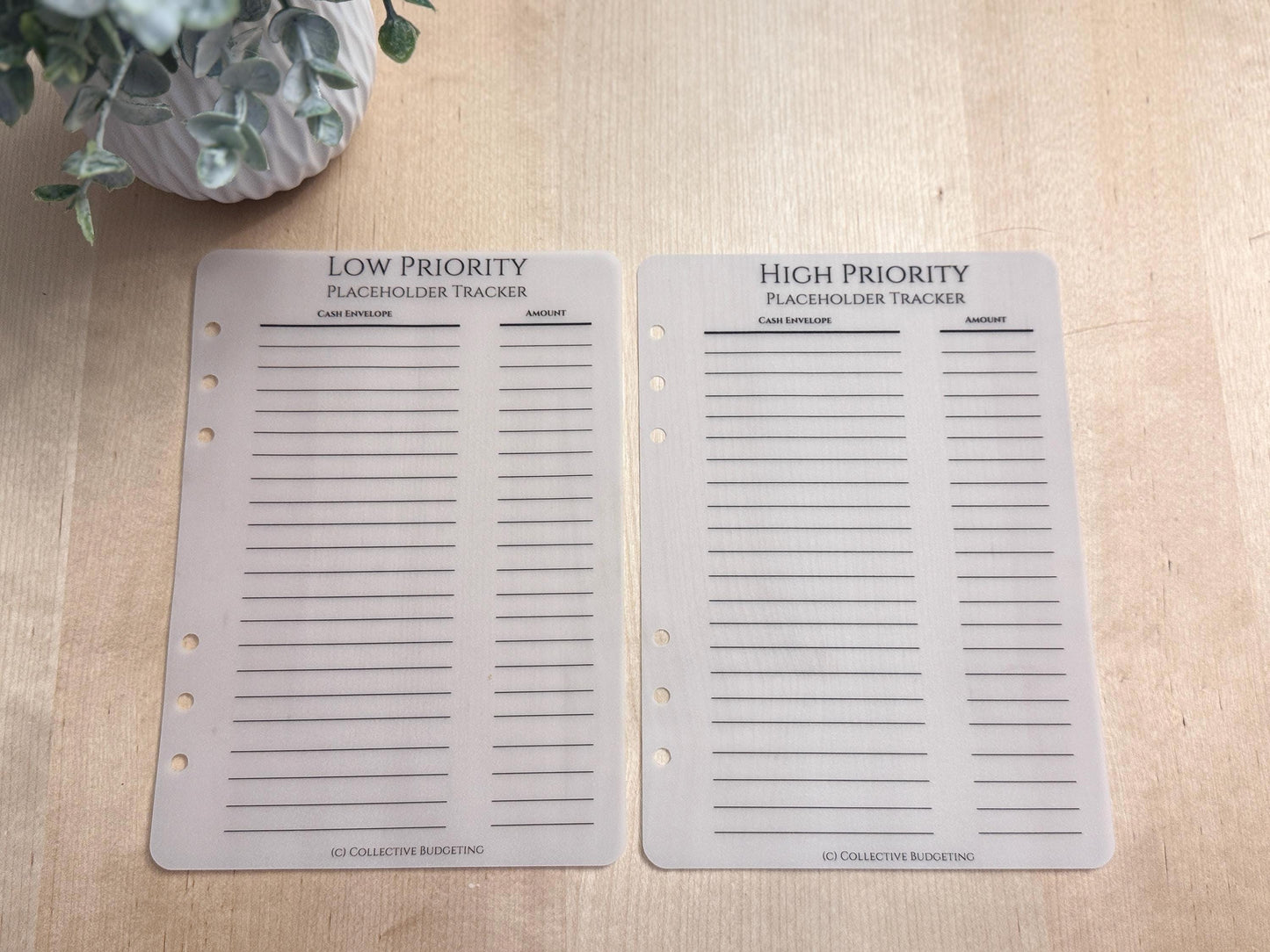 Vellum Cash Envelope Placeholder Trackers: A6 A5 Budget Binder Inserts