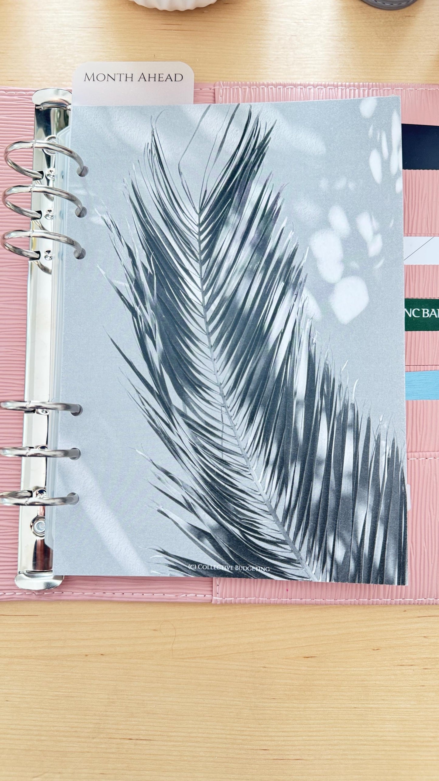 Palm Leaves Budget Binder Dashboard: A5 A6 Cash Stuffing Insert