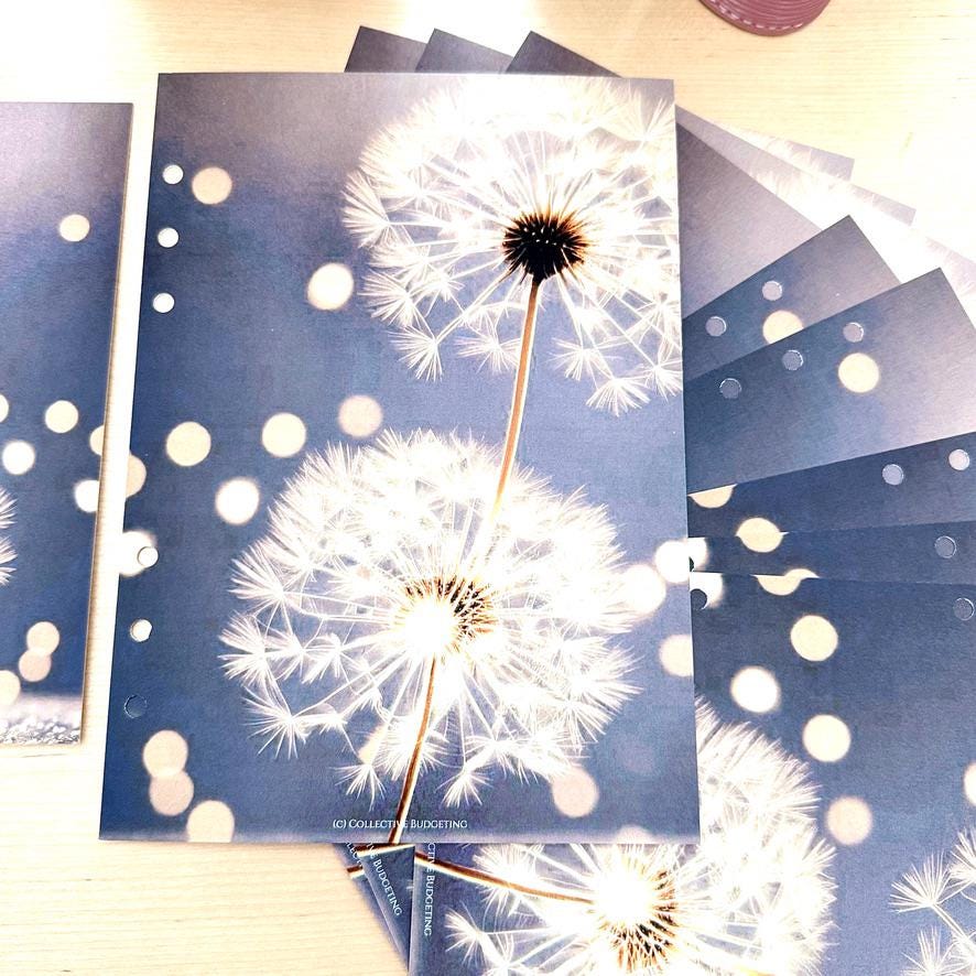 Wishing Flower Budget Binder Dashboard: A5 A6 Cash Stuffing Insert