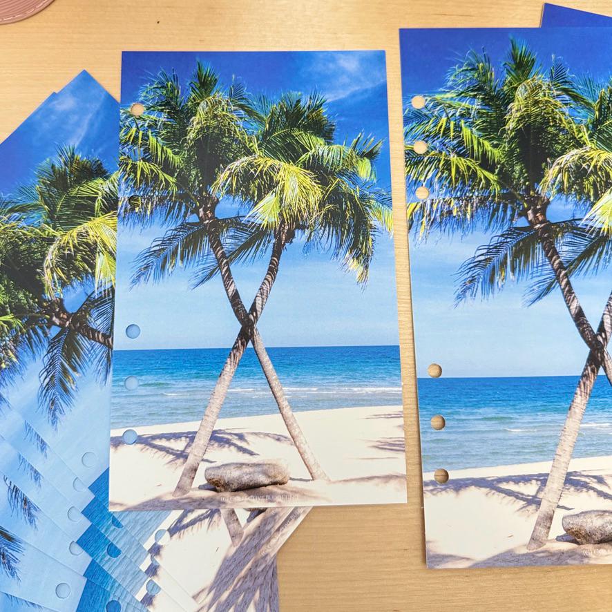 Oasis Palms Budget Binder Dashboard: A5/A6 Cash Stuffing Insert