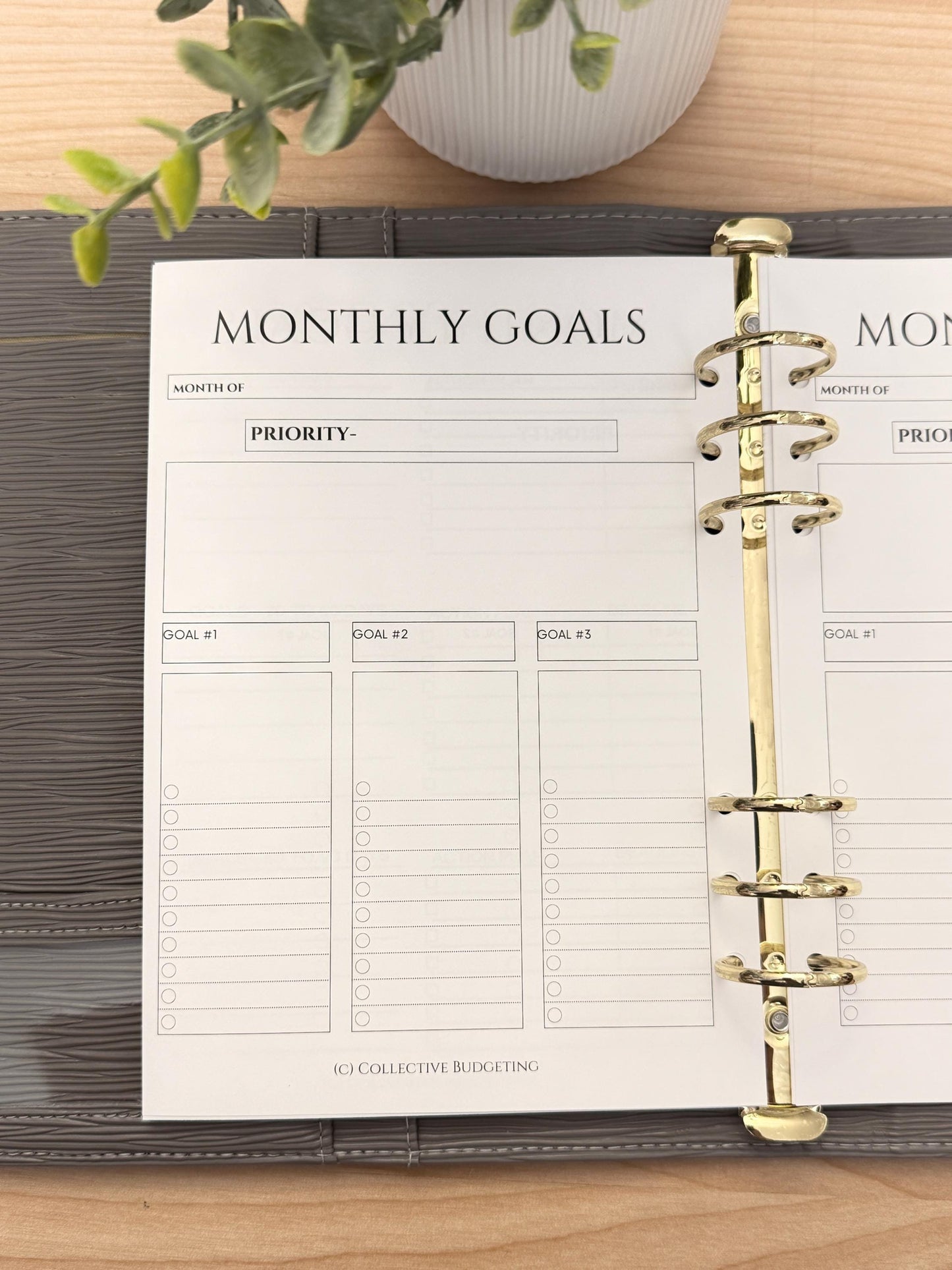 A5 Monthly Planning Insert | Tracker | Cash Stuffing Budget Binder Tool