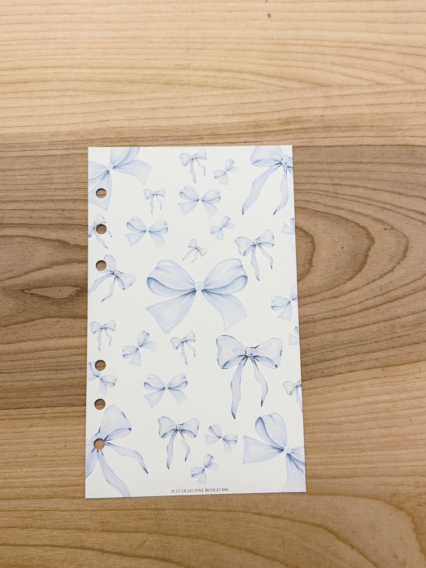 Blue Bow Budget Binder Dashboard: A5 A6 Cash Envelope Insert