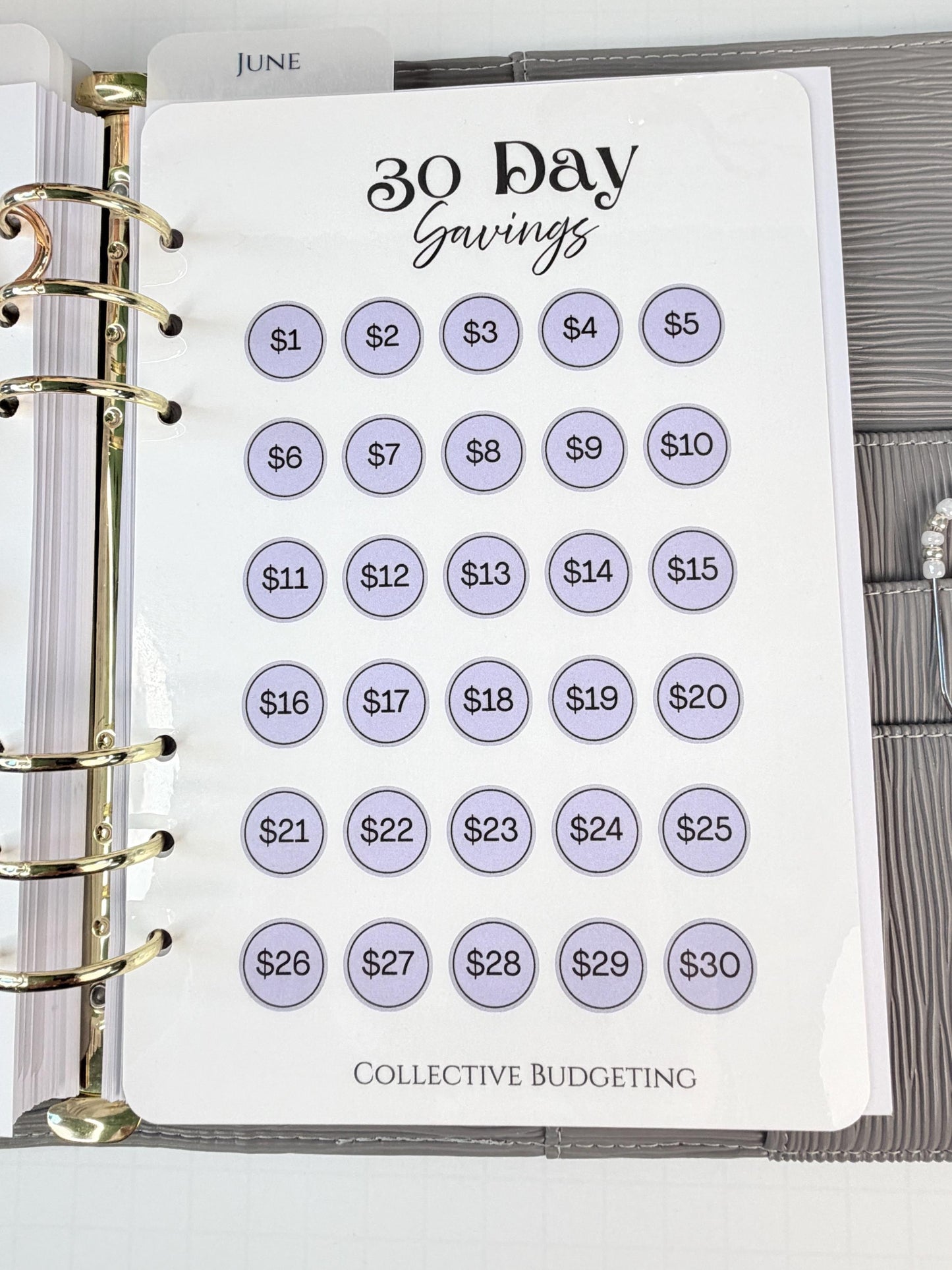 30 Day Savings Challenge | Laminated Cash Stuffing Tracker