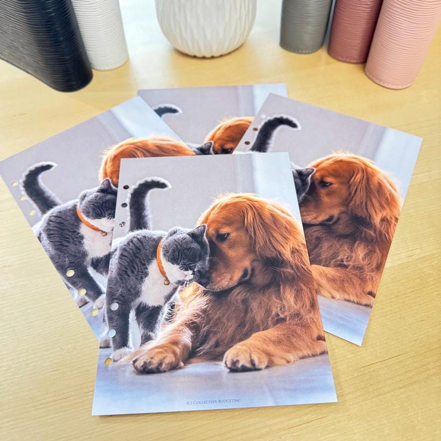 Pets Budget Binder Dashboard: Decorative Cover Insert | A5 A6 Cash Stuffing