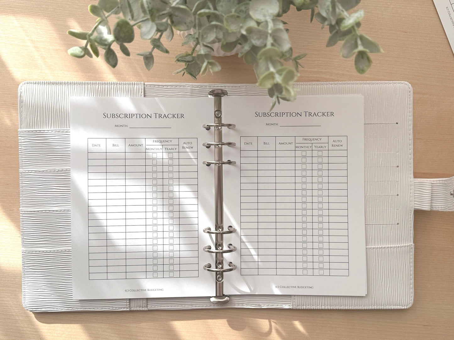 A5 Subscription Tracker Insert: Double-Sided Budget Planner Page