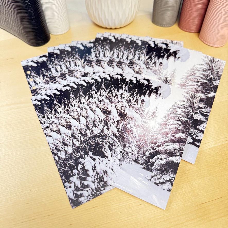 Winter Budget Binder Dashboard: Seasonal Decorative Cover Insert | A5 A6