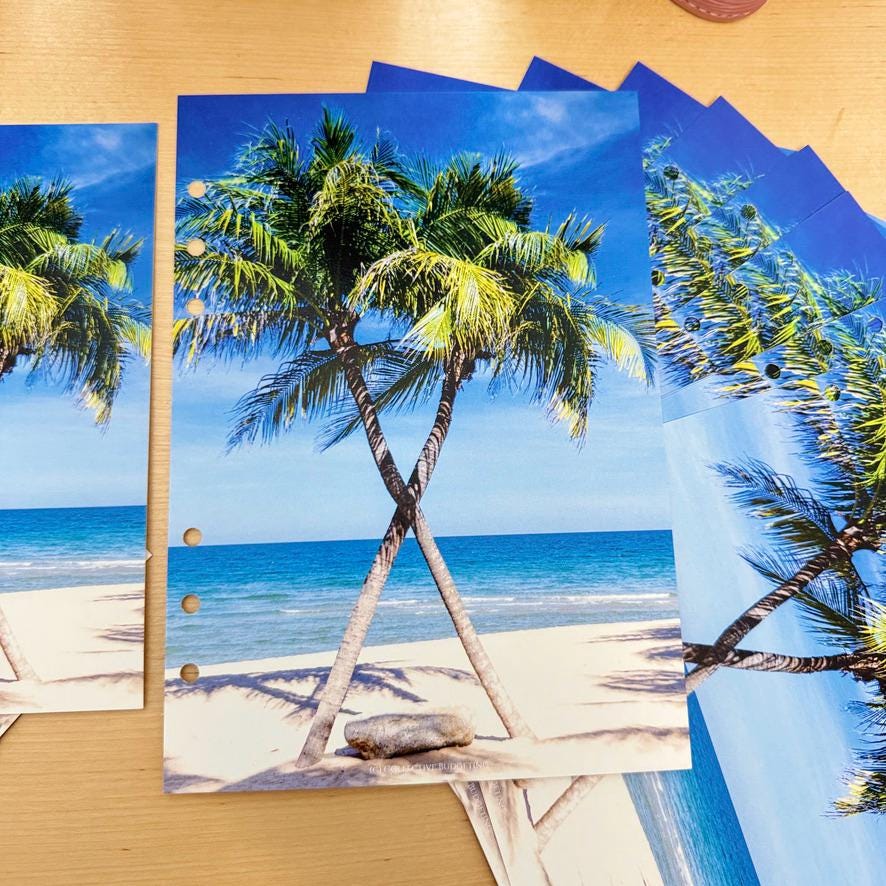 Oasis Palms Budget Binder Dashboard: Tropical Decorative Cover Insert | A5 A6