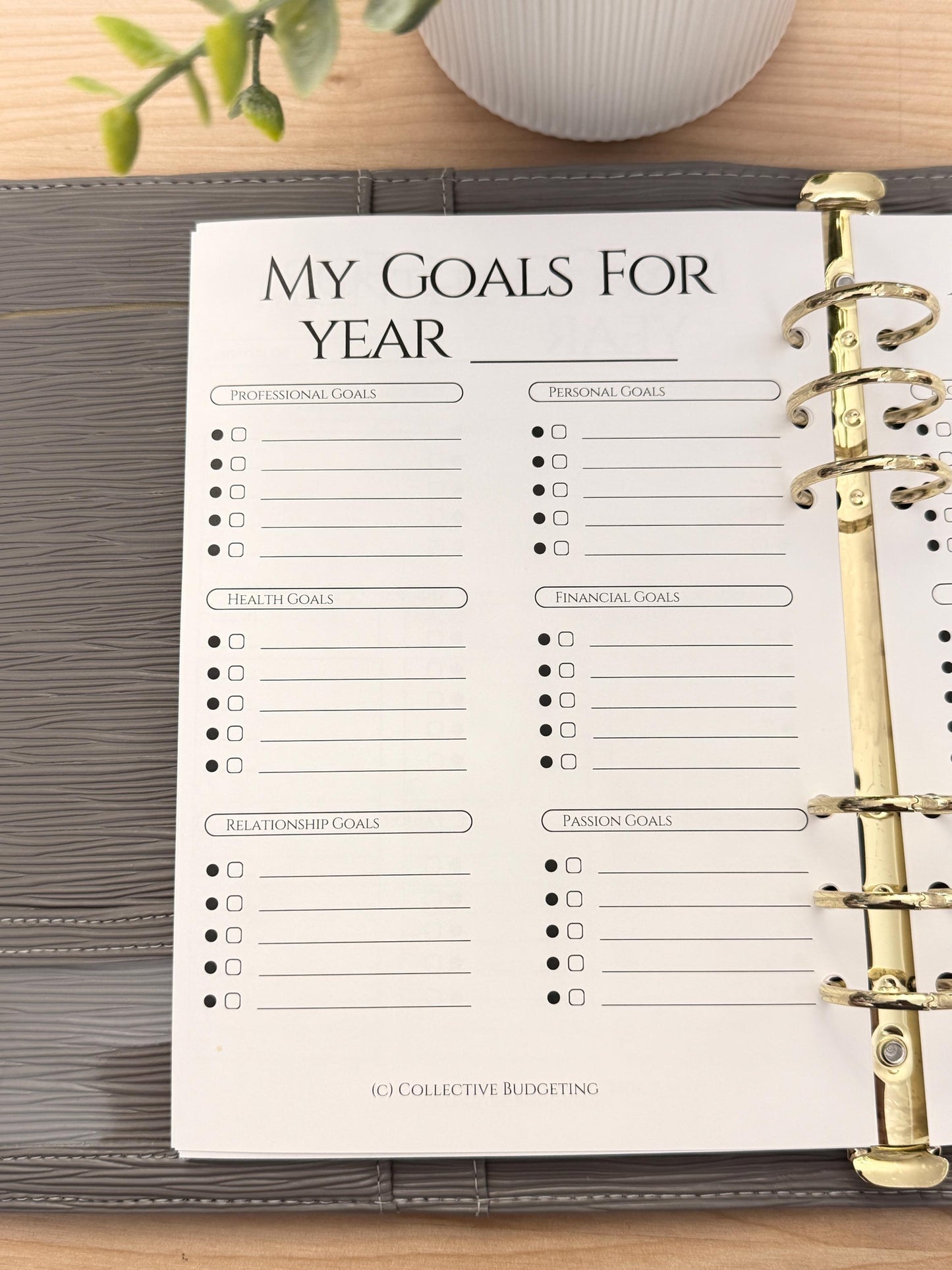 A5 Yearly Goals Planning Insert | Tracker | Cash Stuffing Budget Binder Tool