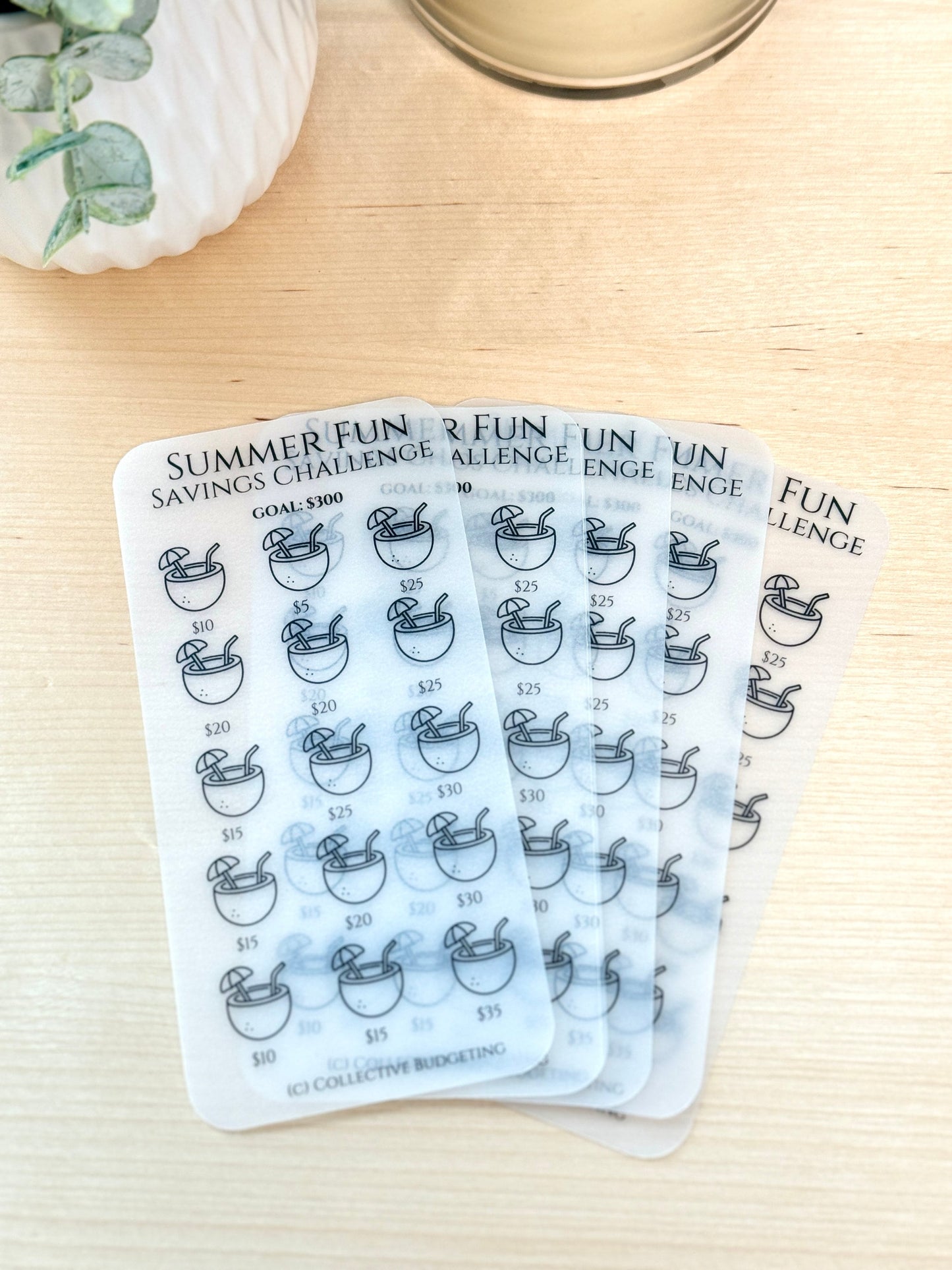 Summer Fun Savings Challenge Tracker: Pool Days, Activities & More | Laminated Vellum