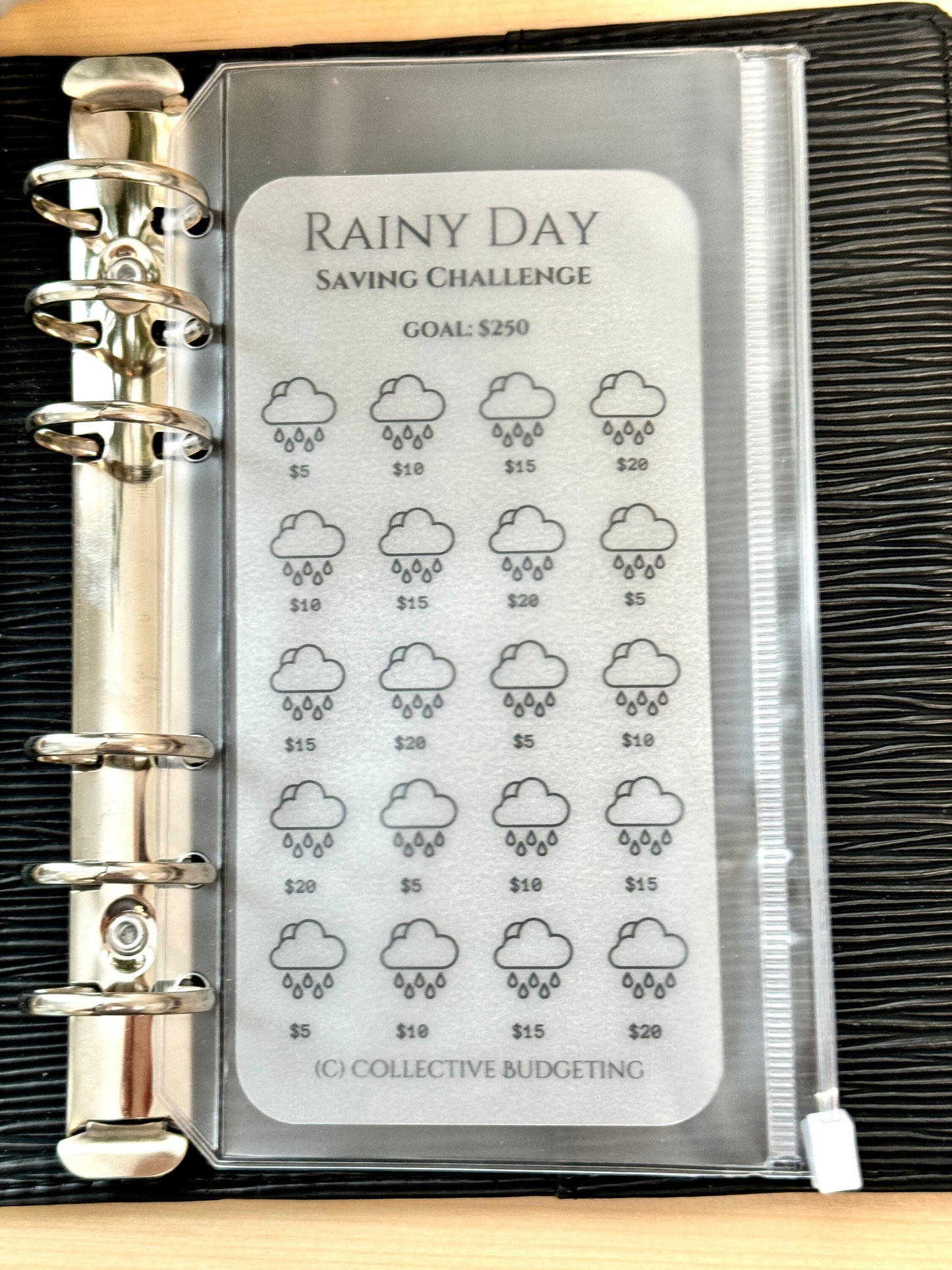 Rainy Day Emergency Fund Tracker: Car Repairs & Surprise Expenses | Laminated Vellum