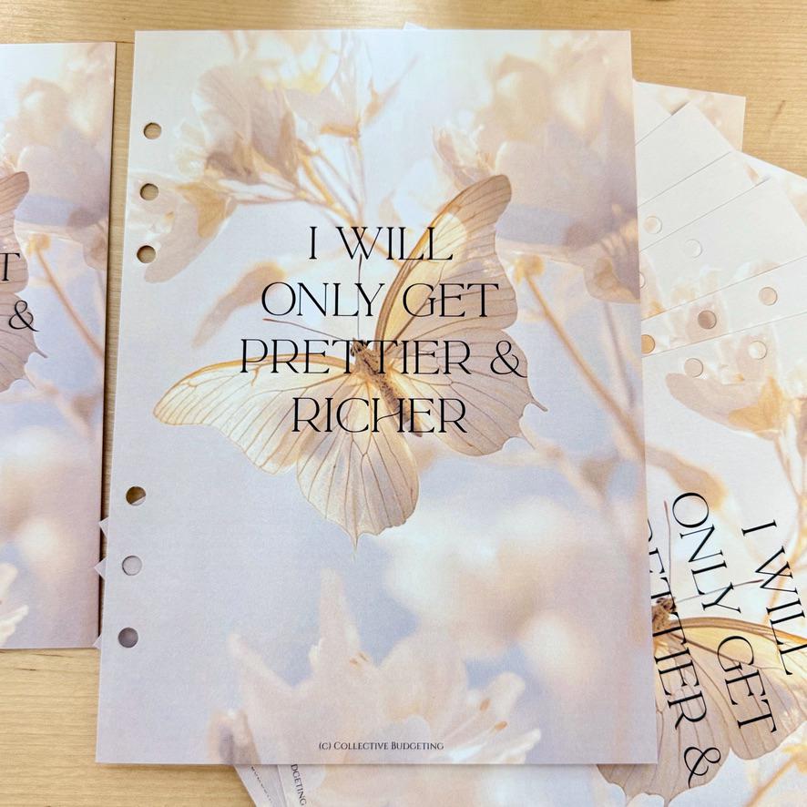 Butterfly Effect Budget Binder Dashboard: A5/A6 Cash Stuffing Insert