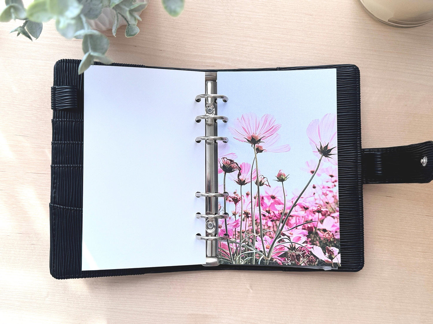 Pink Daisies Budget Binder Dashboard: Floral Decorative Cover Insert | A5 A6