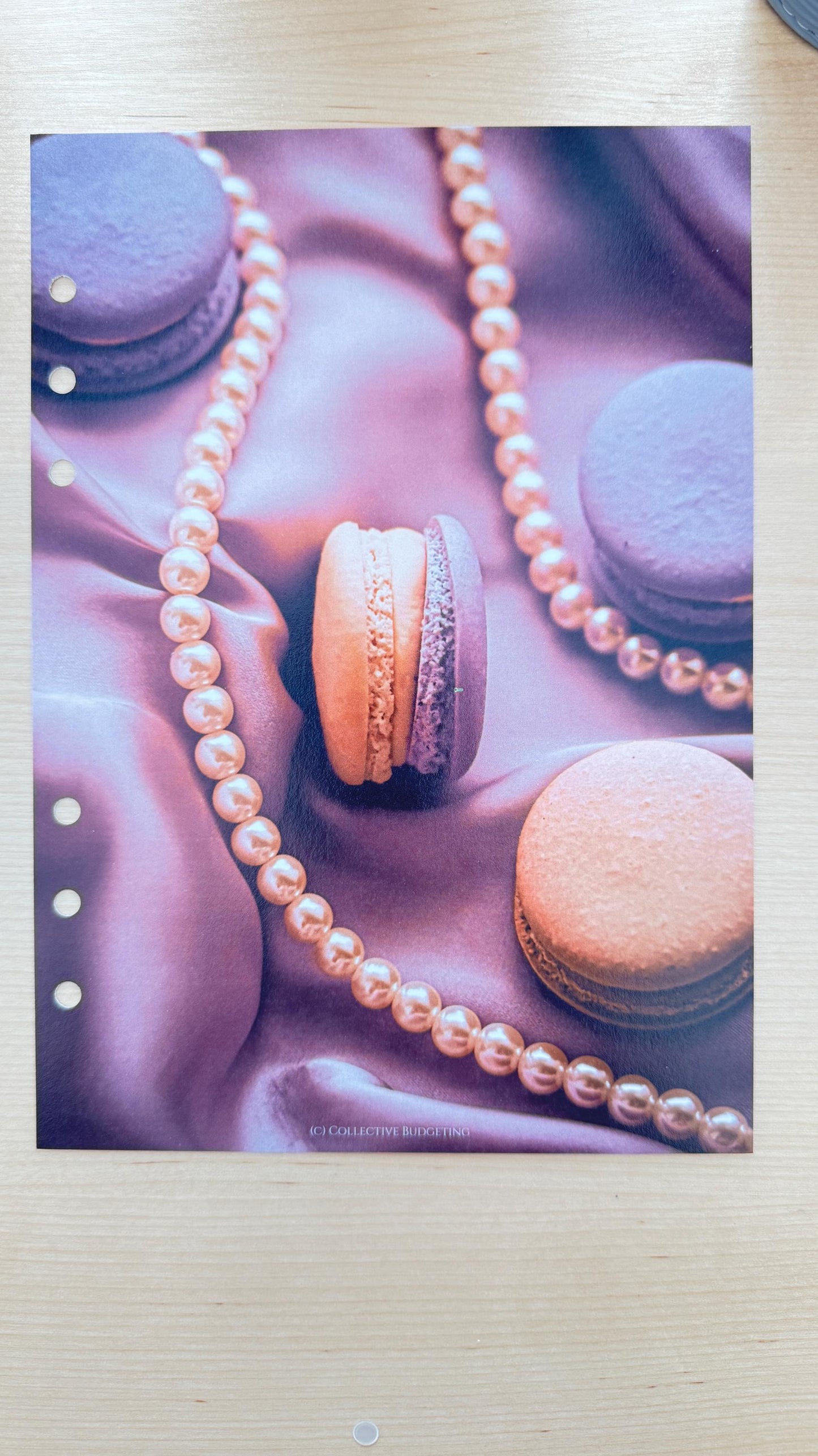 Macaroon Budget Binder Dashboard: Decorative Cover Insert | A5 A6 Cash Stuffing