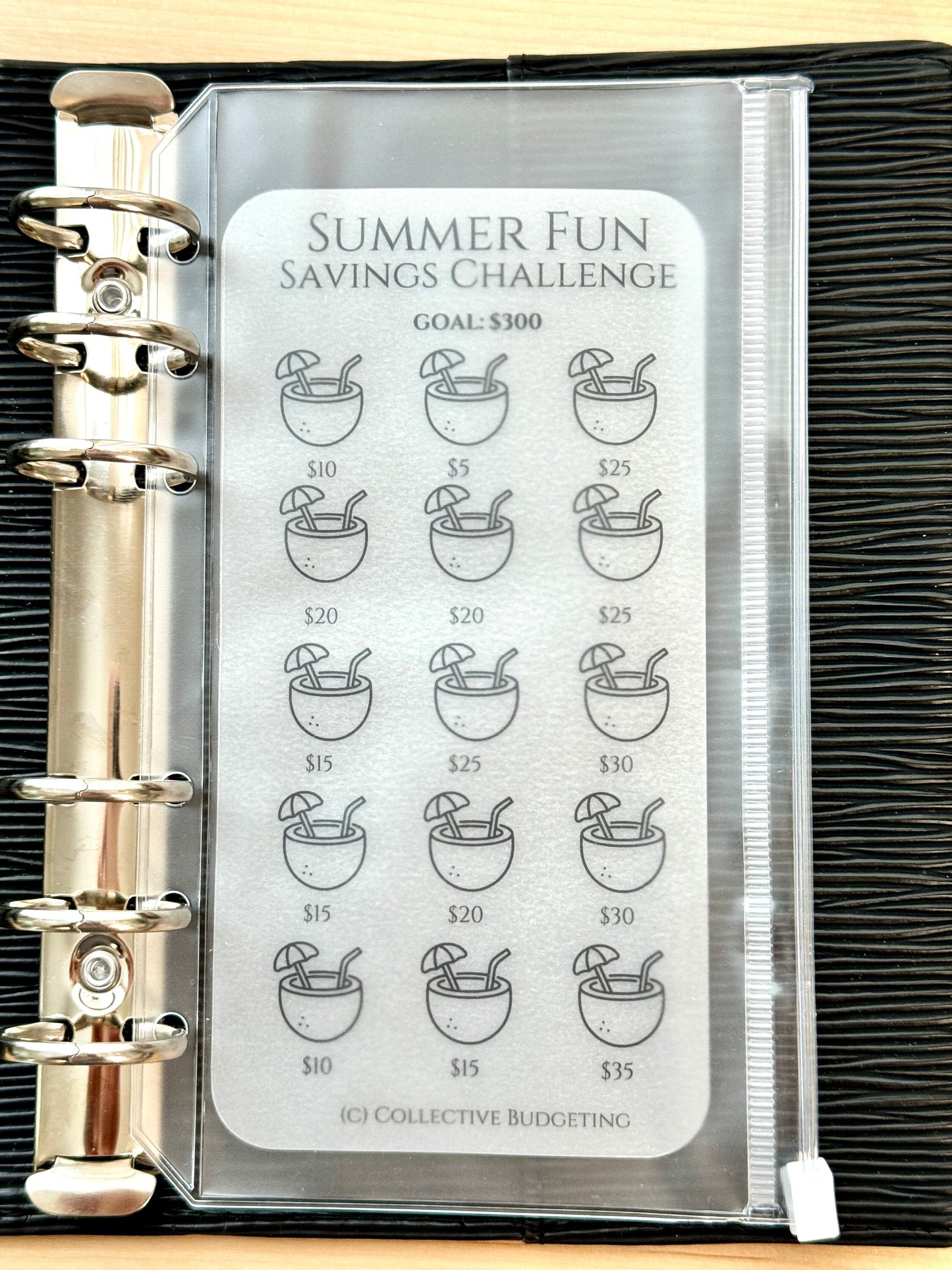Summer Fun Savings Challenge Tracker: Pool Days, Activities & More | Laminated Vellum