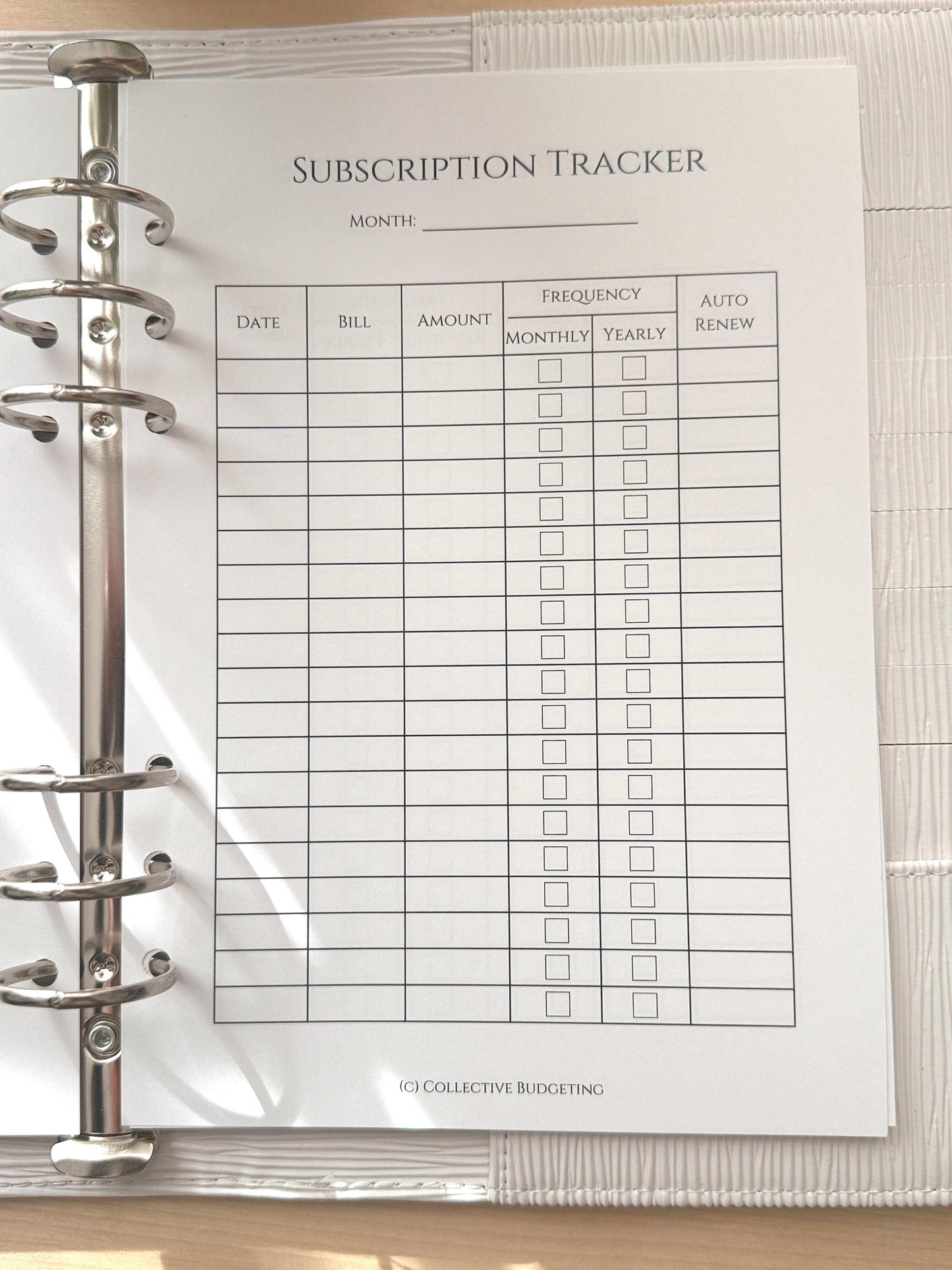A5 Subscription Tracker Insert: Double-Sided Budget Planner Page