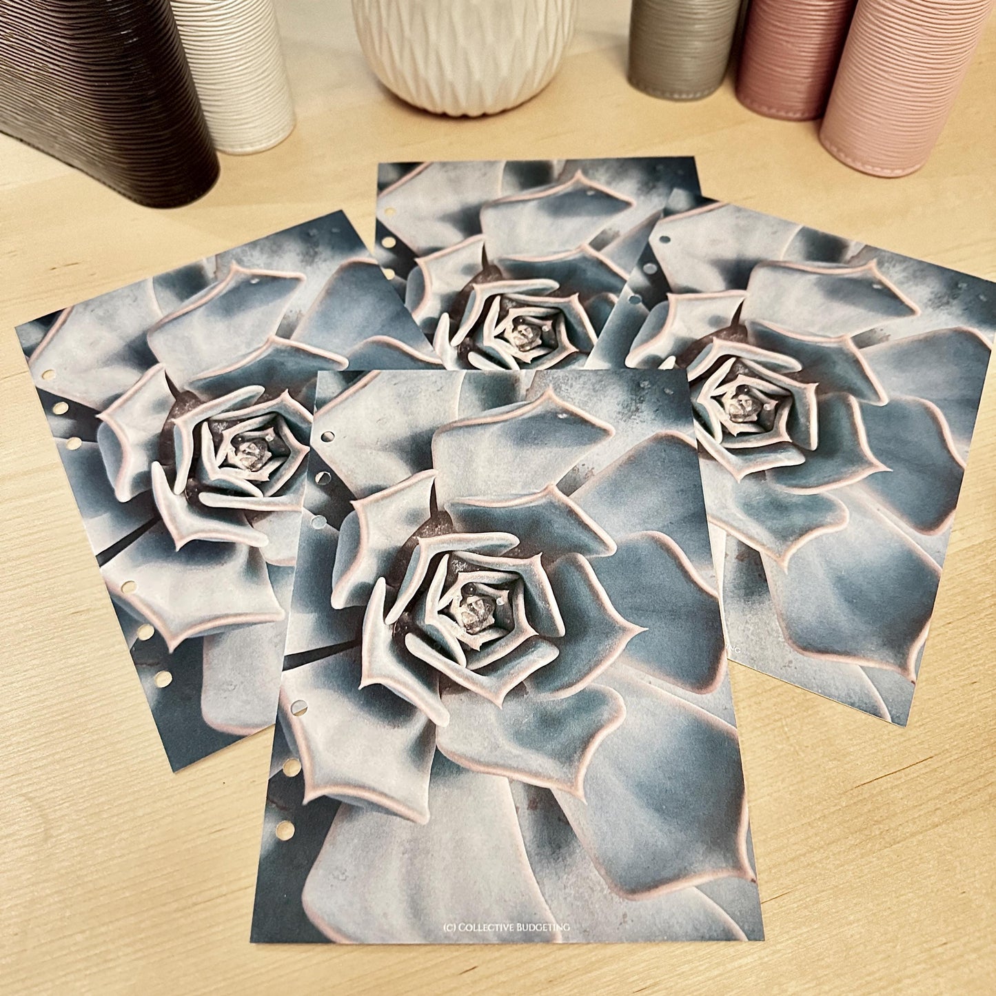 Cactus Flower Budget Binder Dashboard: Floral Decorative Cover Insert | A5 A6