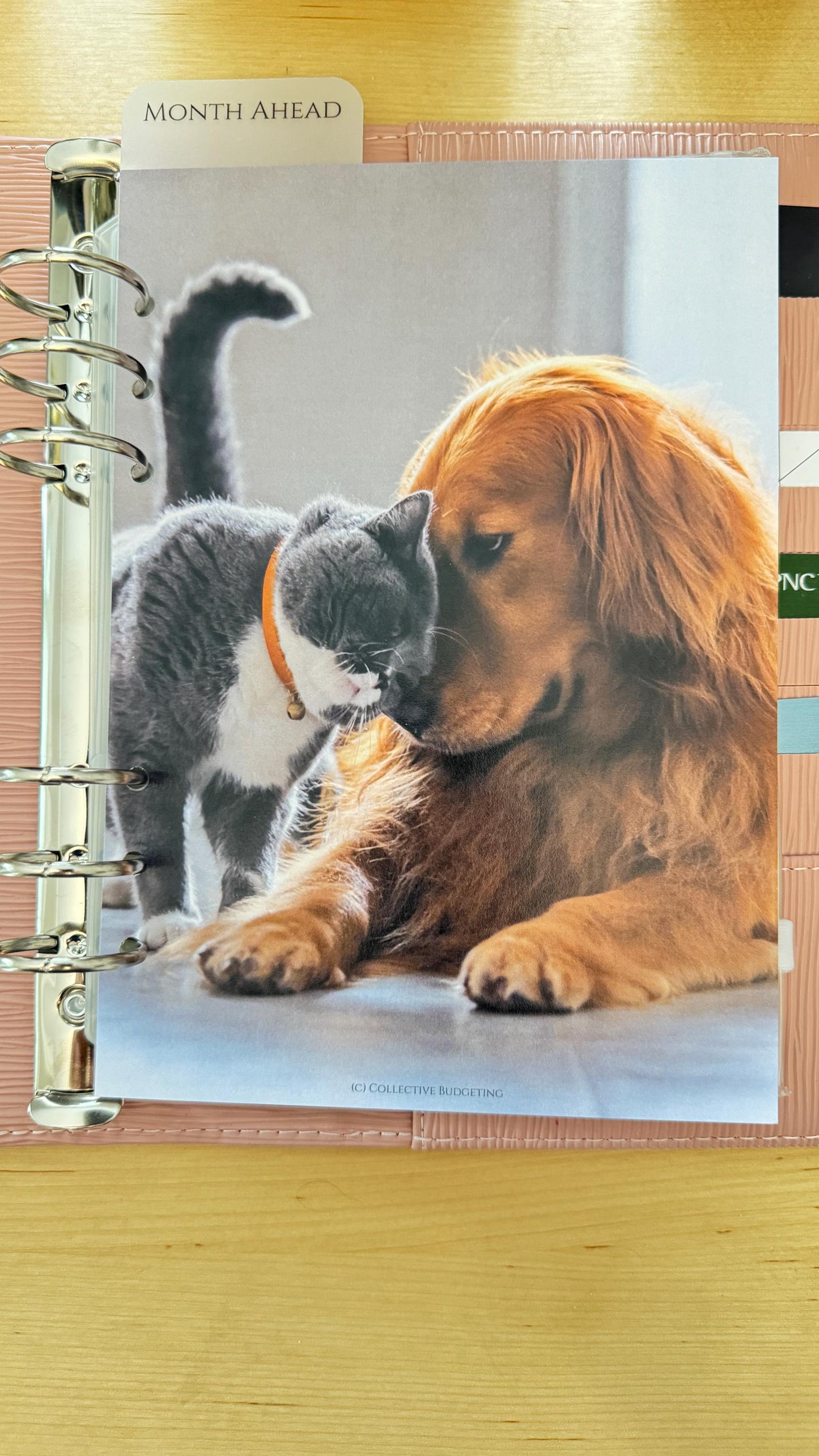 Pets Budget Binder Dashboard: Decorative Cover Insert | A5 A6 Cash Stuffing