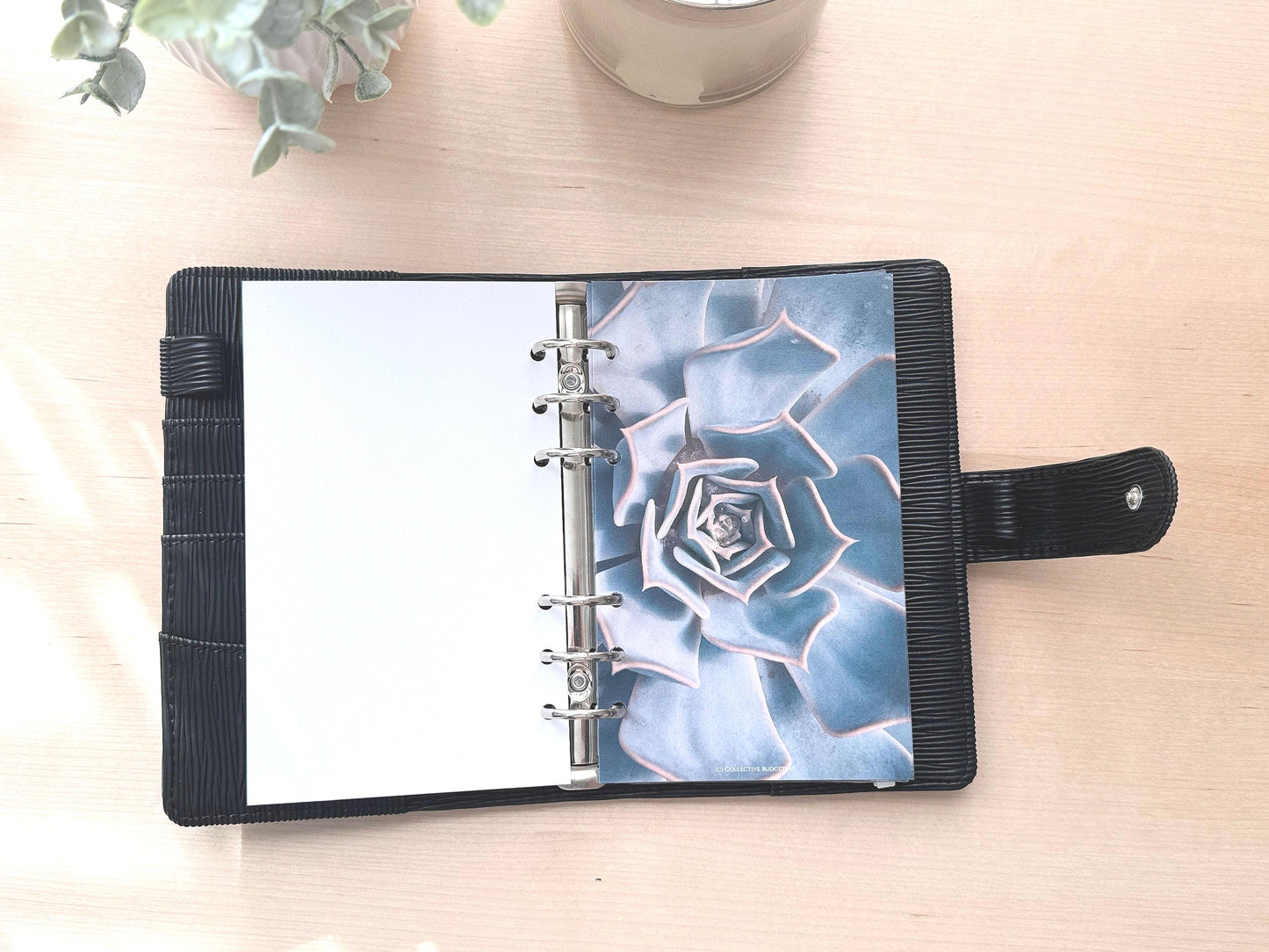 Cactus Flower Budget Binder Dashboard: Floral Decorative Cover Insert | A5 A6