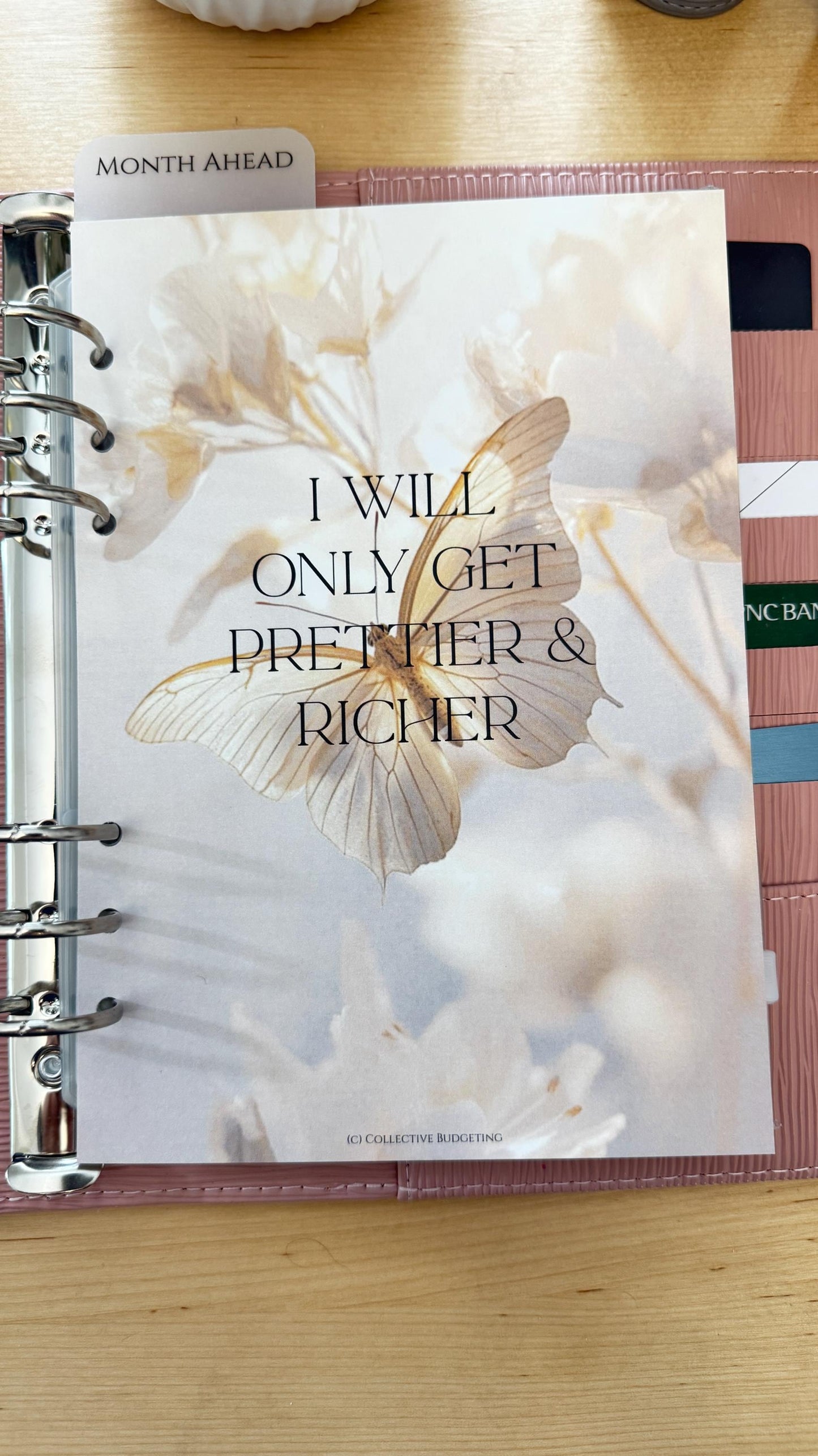 Butterfly Effect Budget Binder Dashboard: A5/A6 Cash Stuffing Insert