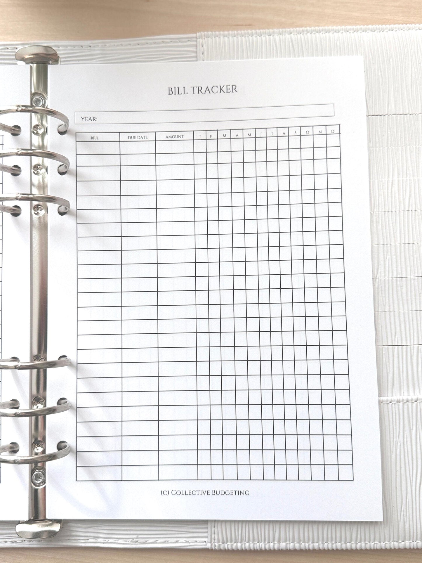 A5 Bill Tracker Budget Binder Insert: Cash Stuffing & Zero-Based Budgeting Tool