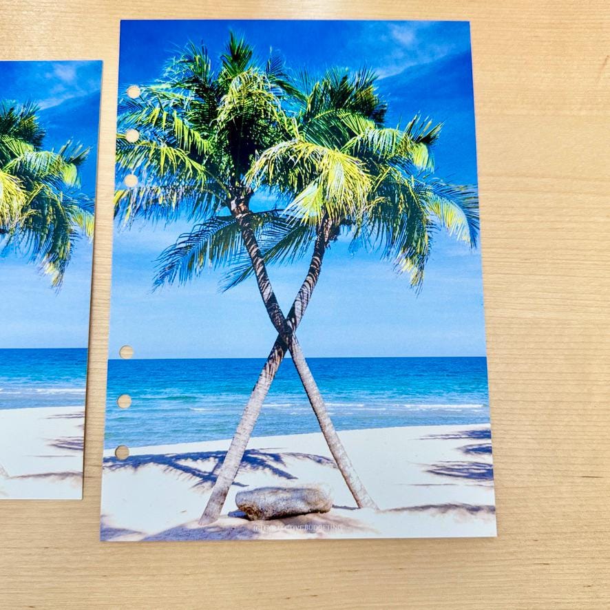 Oasis Palms Budget Binder Dashboard: Tropical Decorative Cover Insert | A5 A6