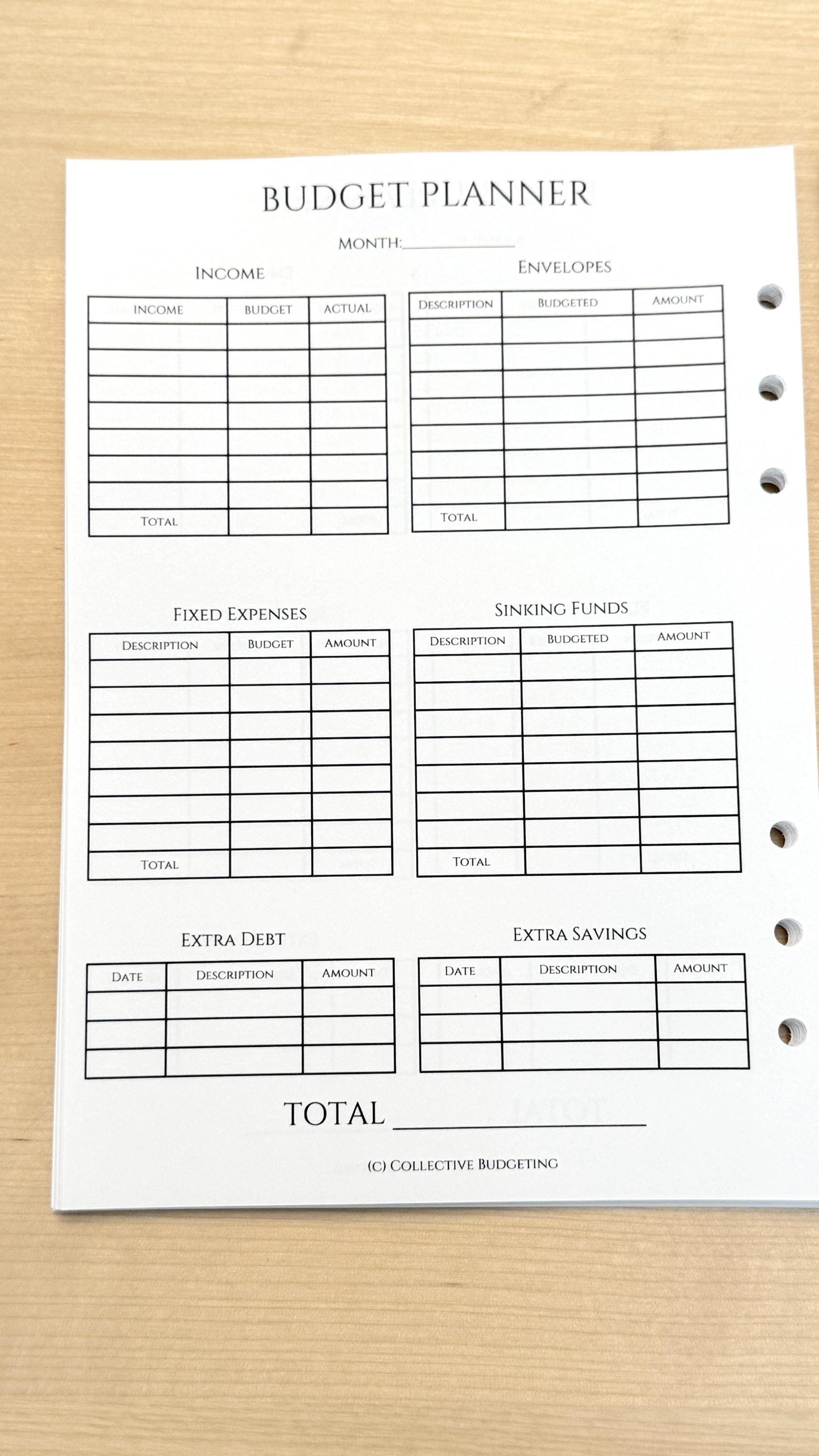 A5 Budget Planner Insert: Monthly Income & Savings Tracker