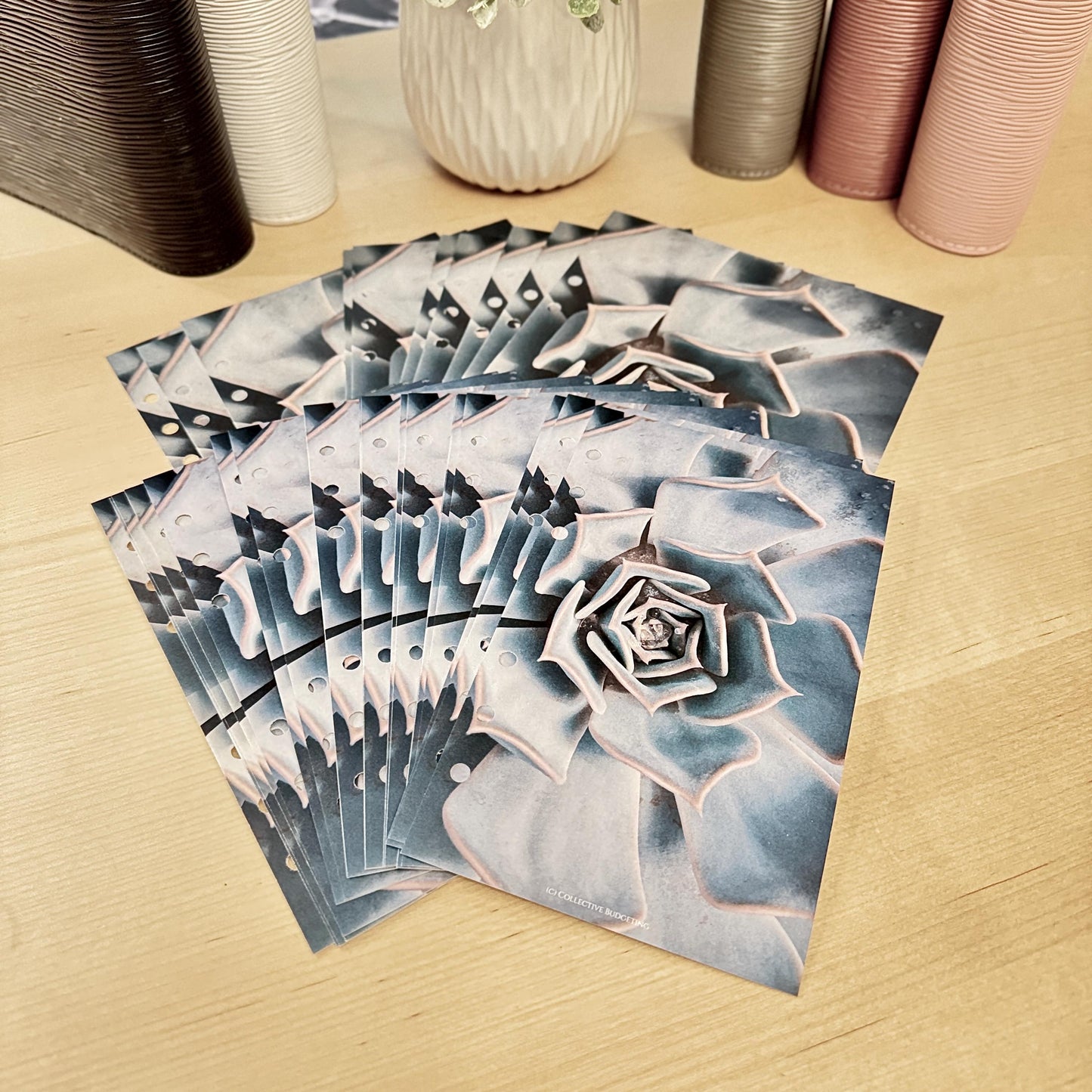 Cactus Flower Budget Binder Dashboard: Floral Decorative Cover Insert | A5 A6