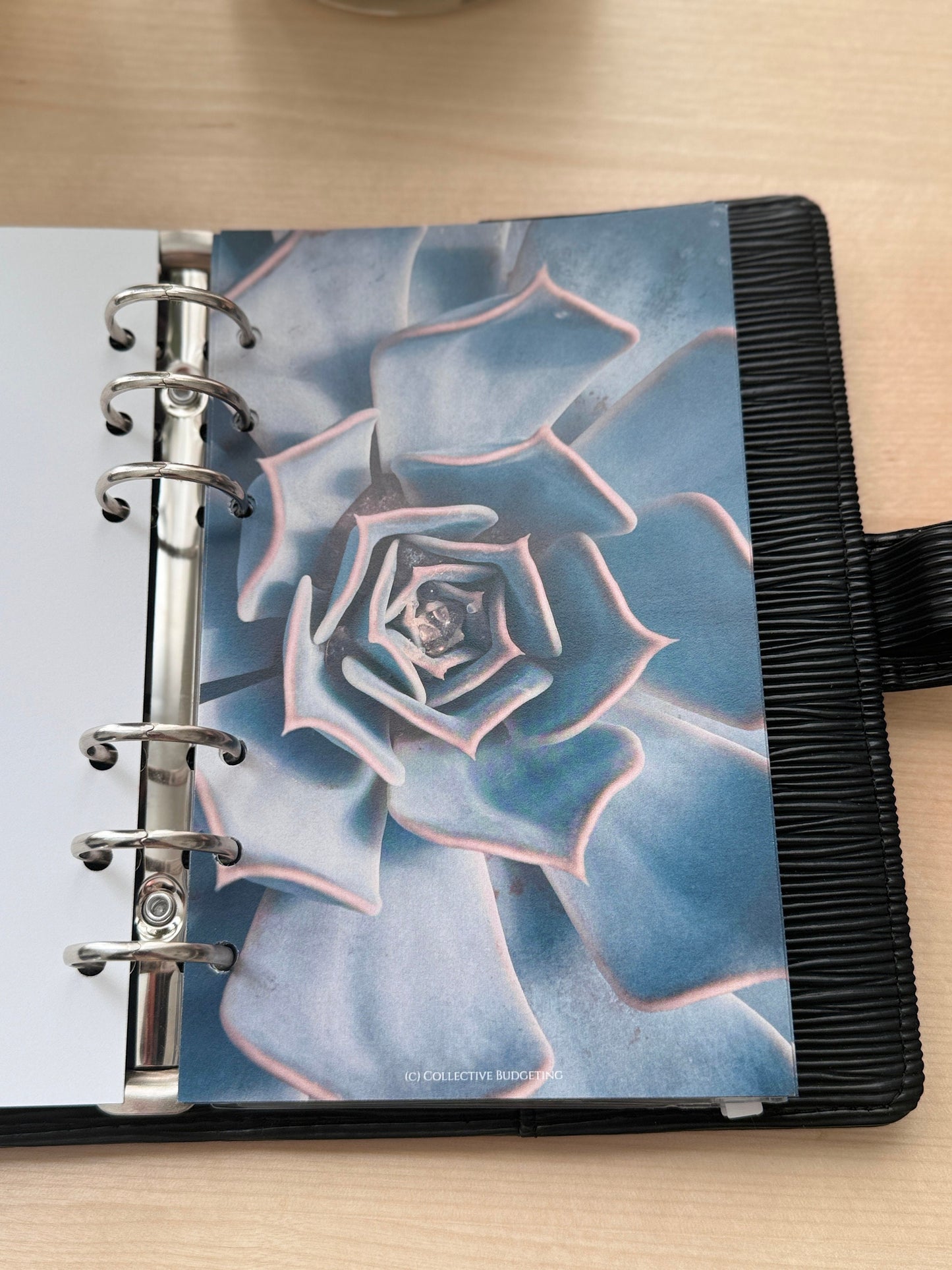 Cactus Flower Budget Binder Dashboard: Floral Decorative Cover Insert | A5 A6