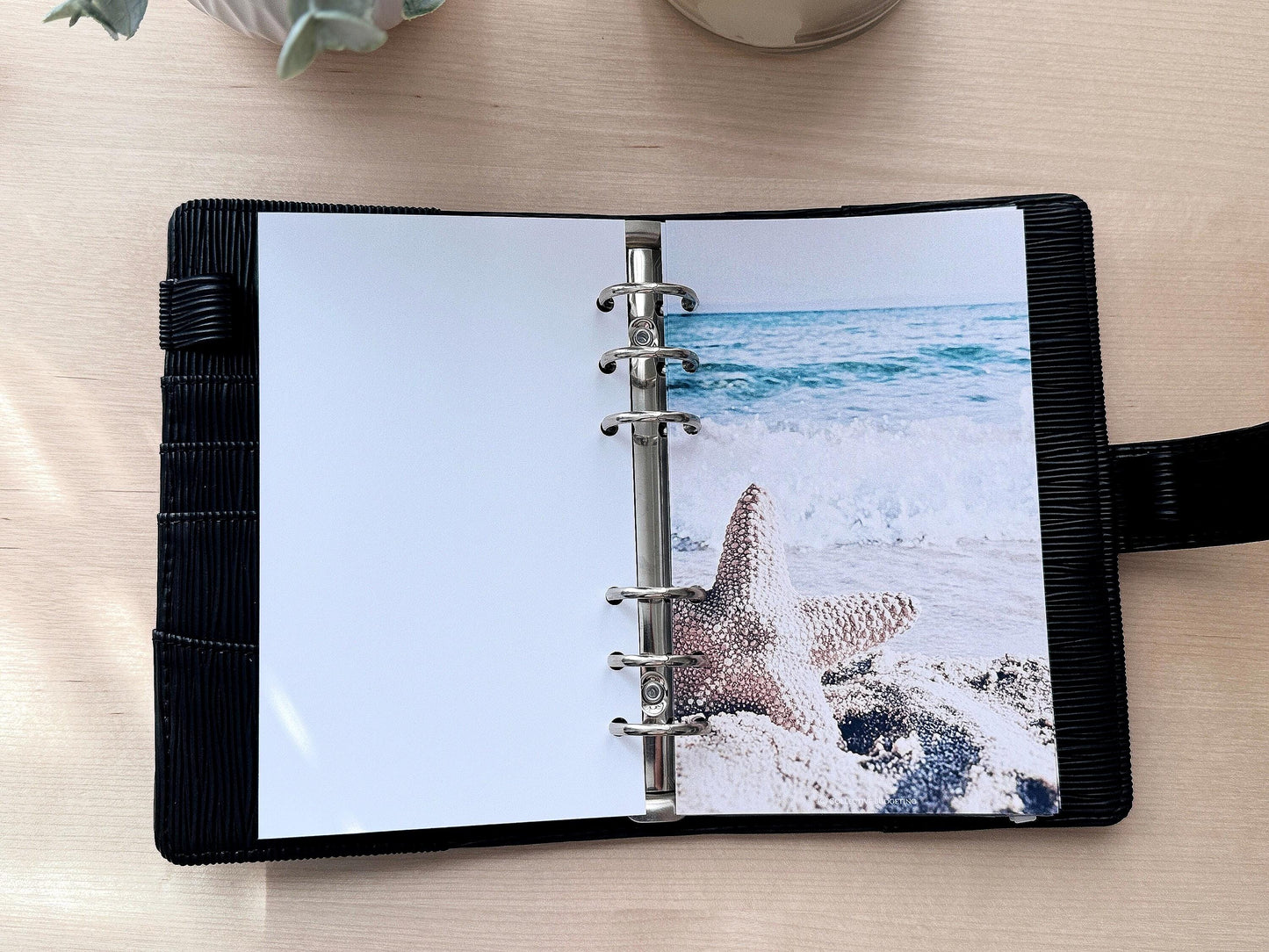 Beach Budget Binder Dashboard: Coastal Decorative Cover Insert | A5 A6
