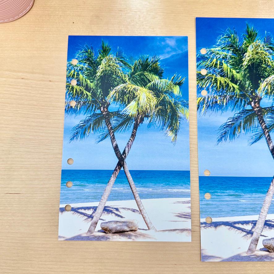 Oasis Palms Budget Binder Dashboard: Tropical Decorative Cover Insert | A5 A6