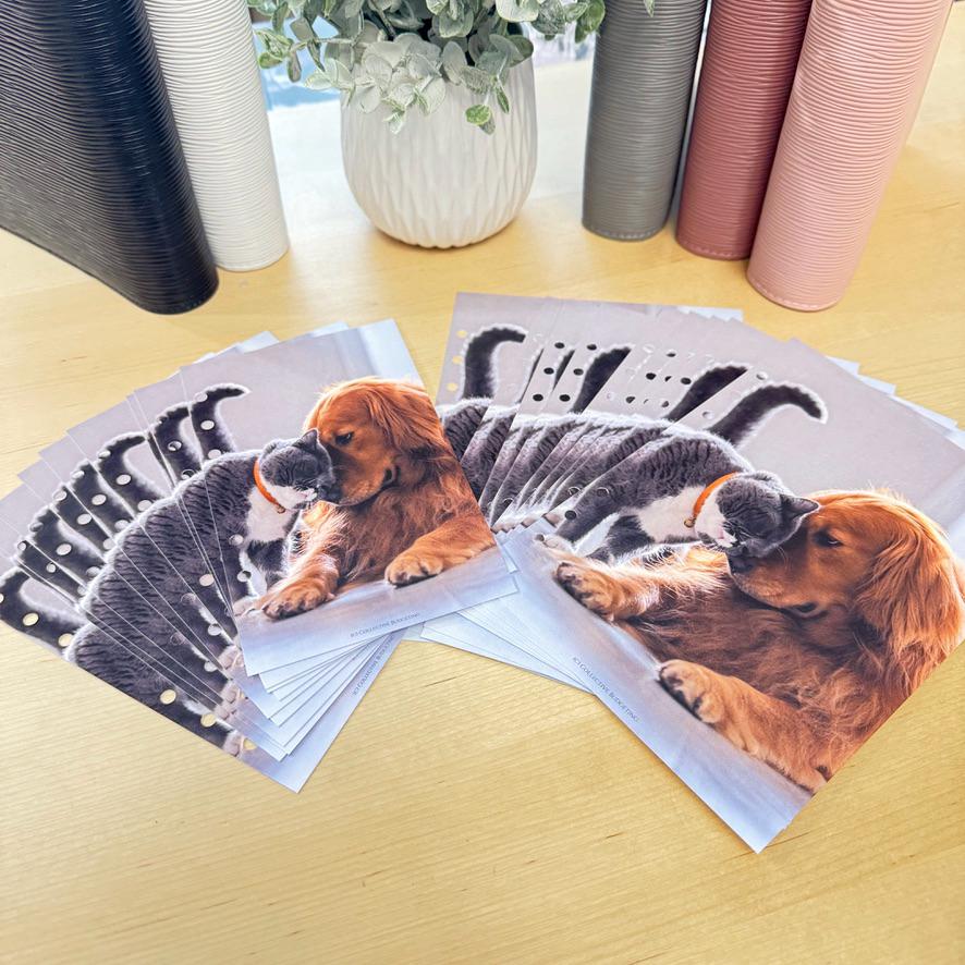 Pets Budget Binder Dashboard: Decorative Cover Insert | A5 A6 Cash Stuffing