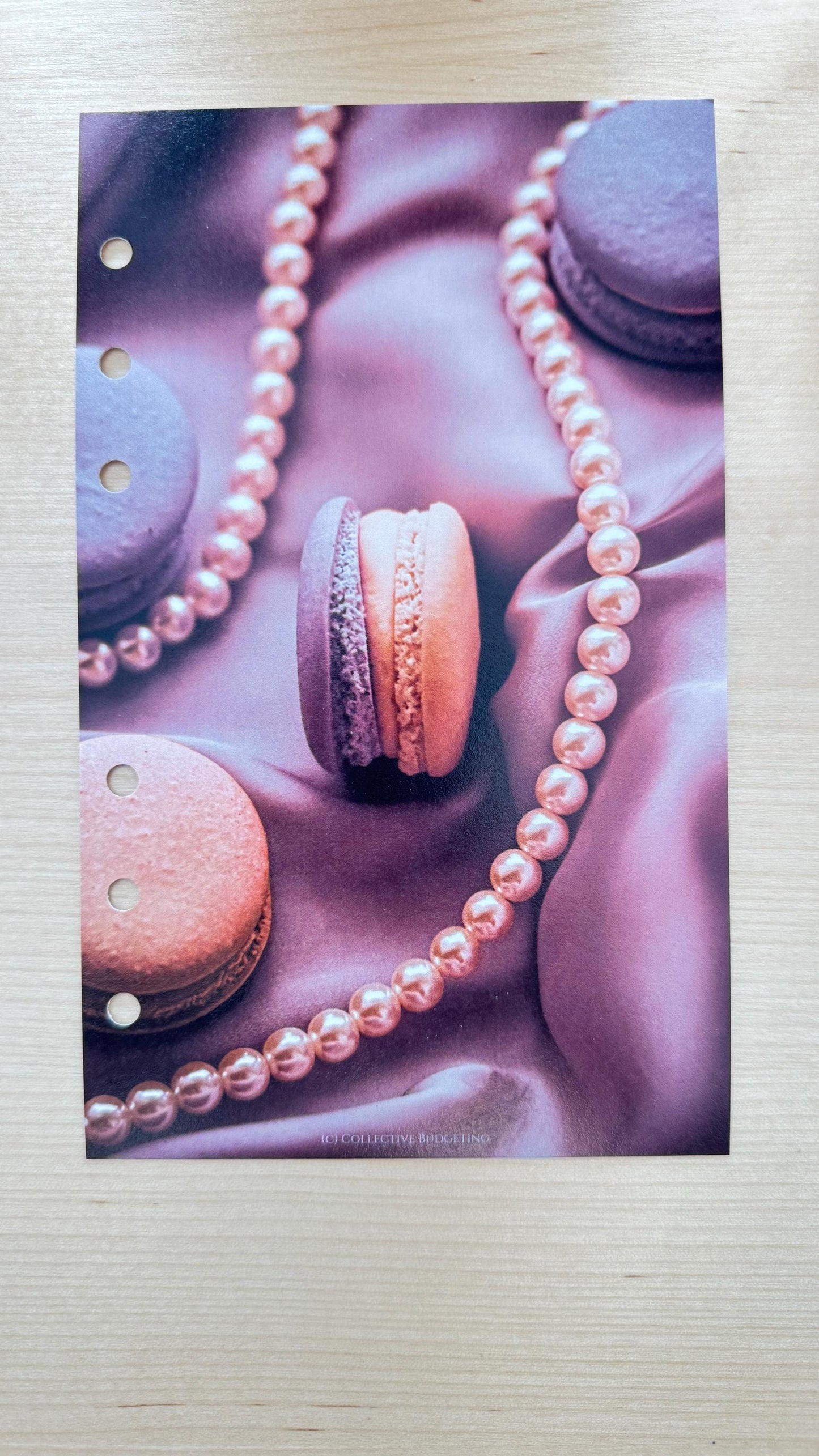 Macaroon Budget Binder Dashboard: Decorative Cover Insert | A5 A6 Cash Stuffing