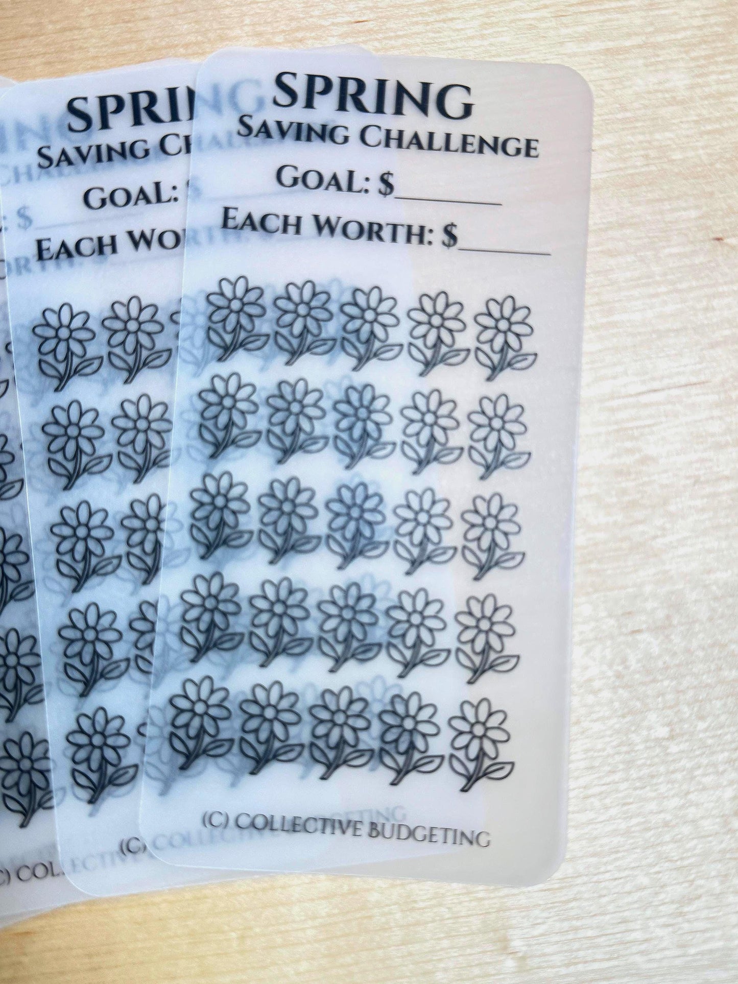 Seasonal Savings Challenge Tracker: Spring, Summer, Fall & Winter | Laminated Vellum