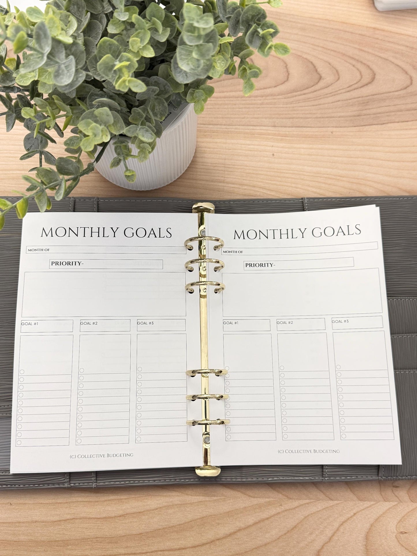 A5 Monthly Planning Insert | Tracker | Cash Stuffing Budget Binder Tool