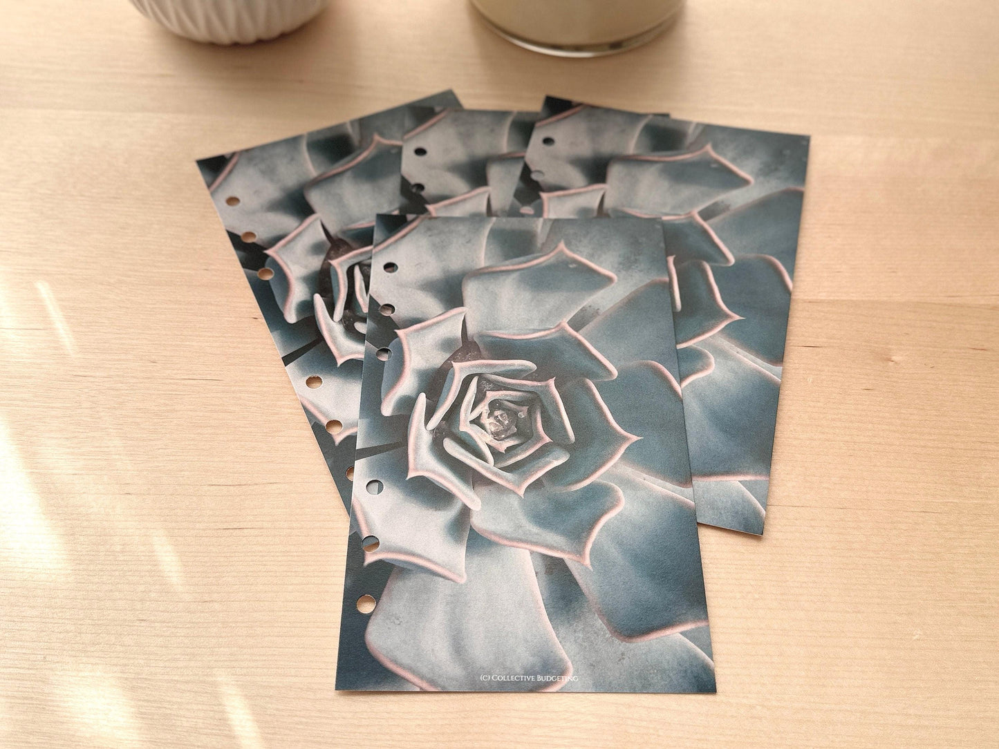 Cactus Flower Budget Binder Dashboard: Floral Decorative Cover Insert | A5 A6