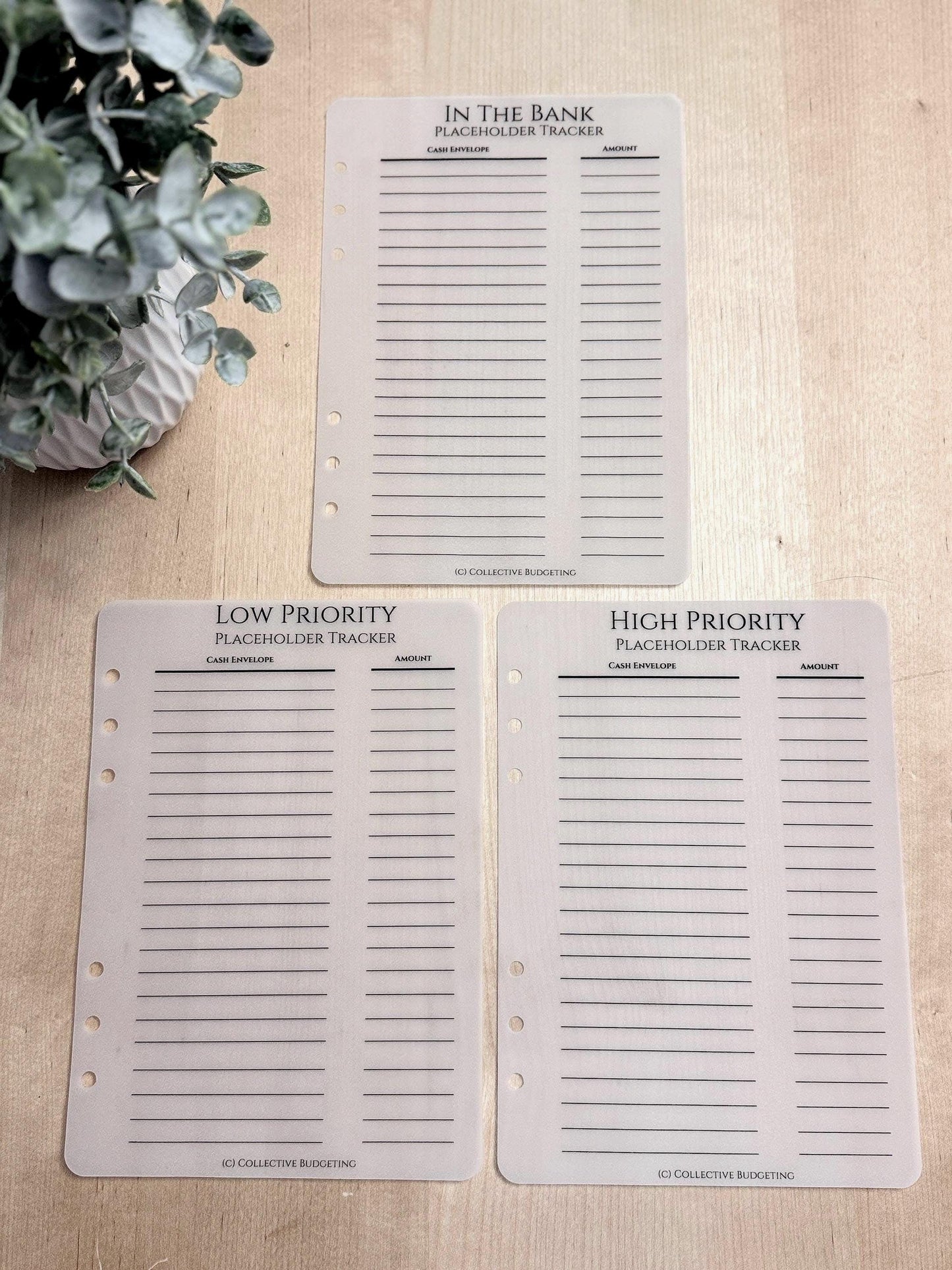 Vellum Cash Envelope Placeholder Trackers: A6 A5 Budget Binder Inserts