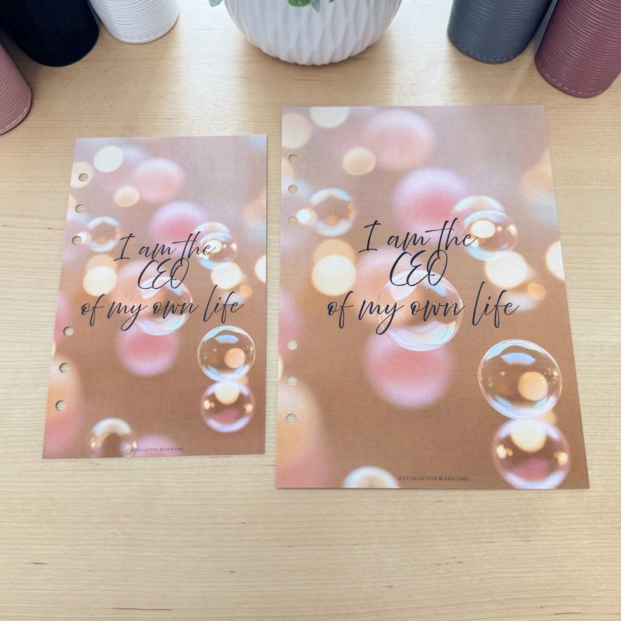 CEO of My Life Budget Binder Dashboard: A5 A6 Cash Stuffing Insert