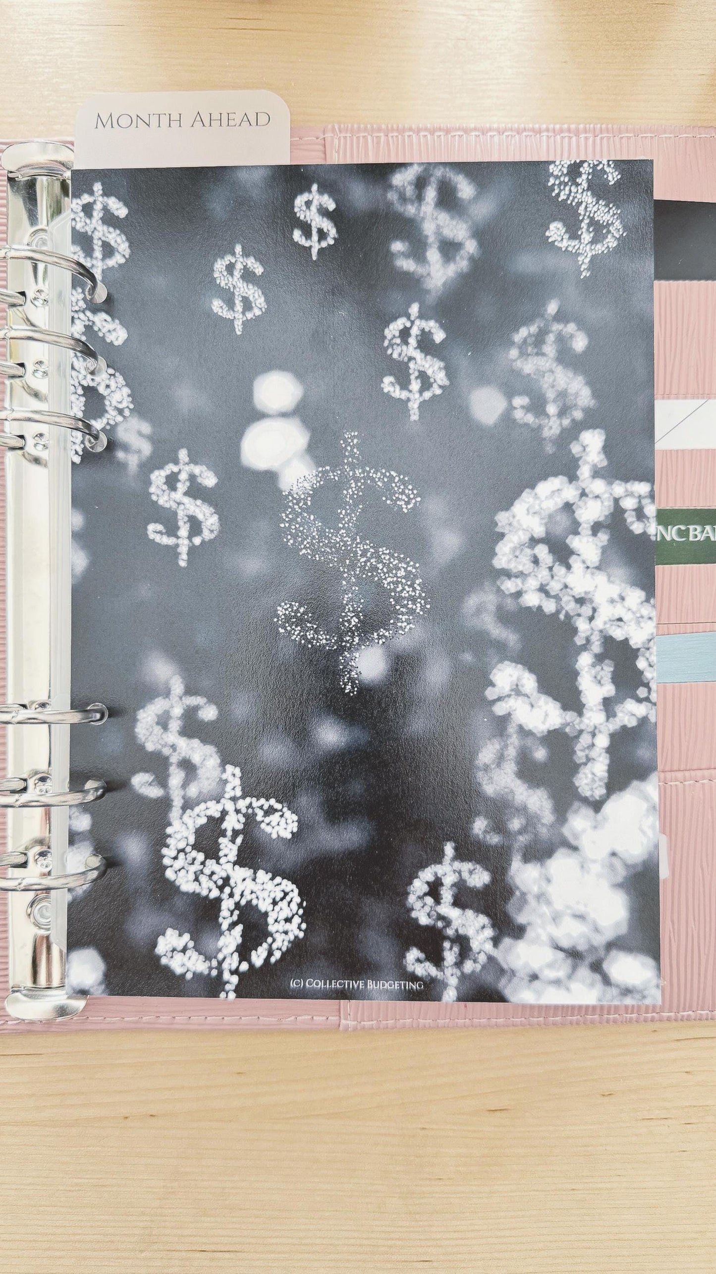 Dollar Sign Savings Budget Binder Dashboard: Motivational Cover Insert | A5 A6