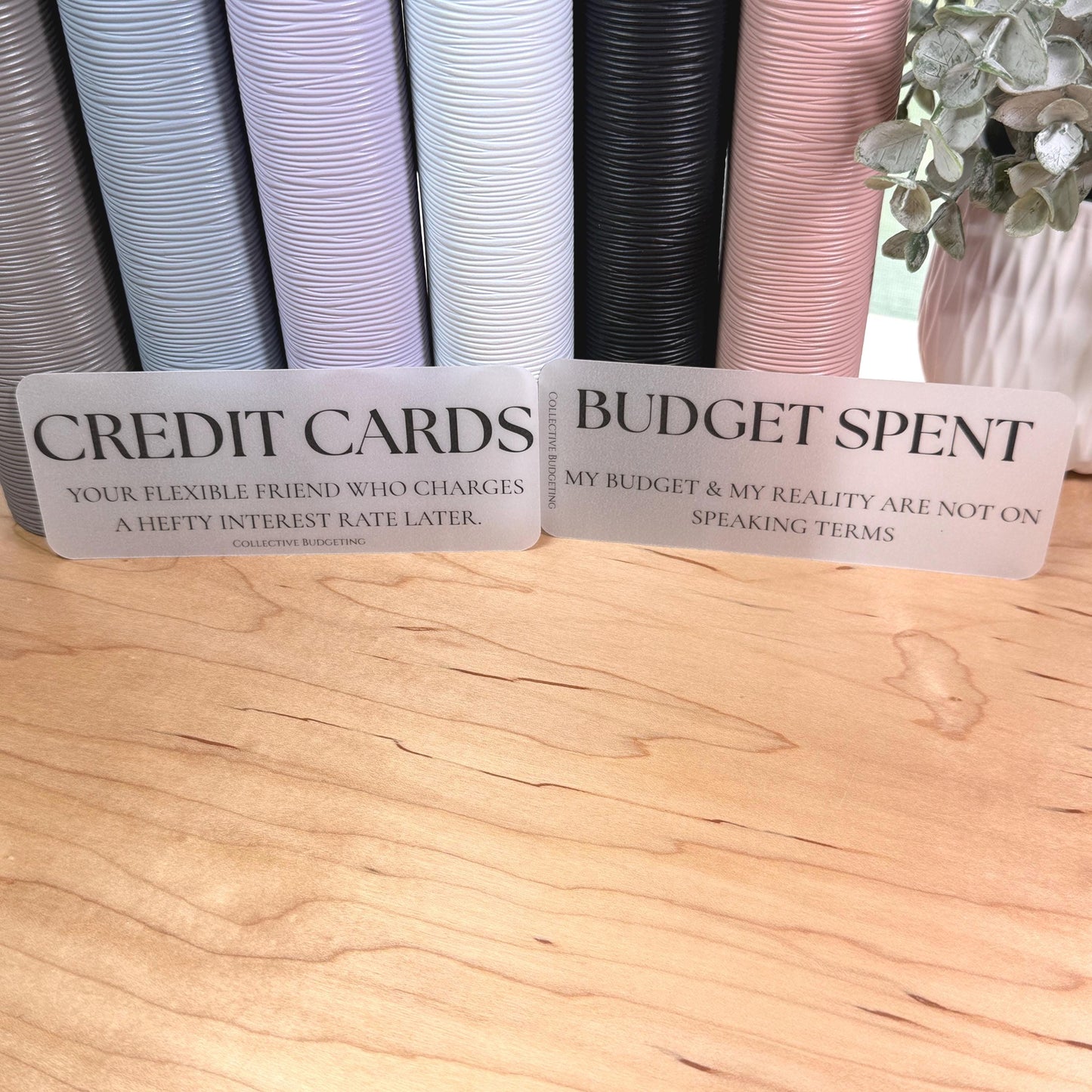 A5 A6 Sarcastic Budget Placeholders – Matte Vellum Cash Stuffing Motivational Binder Inserts