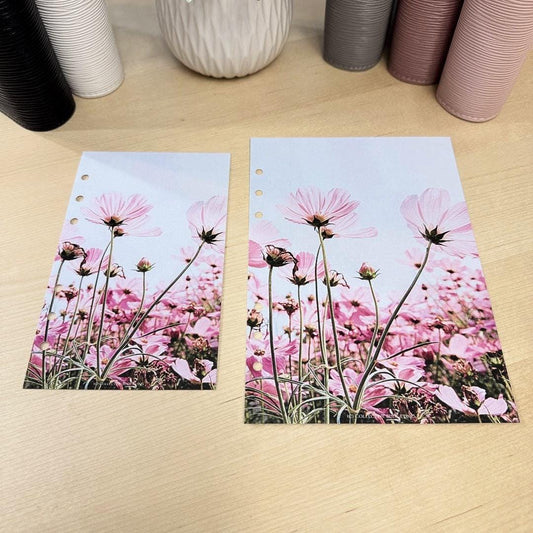 Pink Daisies Budget Binder Dashboard: Floral Decorative Cover Insert | A5 A6