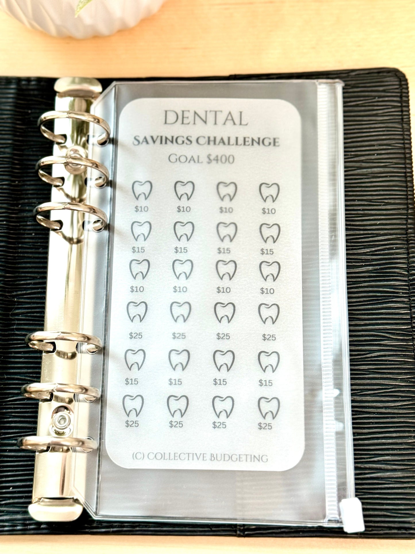 Dental Savings Challenge Tracker: Braces, Cleanings & Dental Costs | Laminated Vellum
