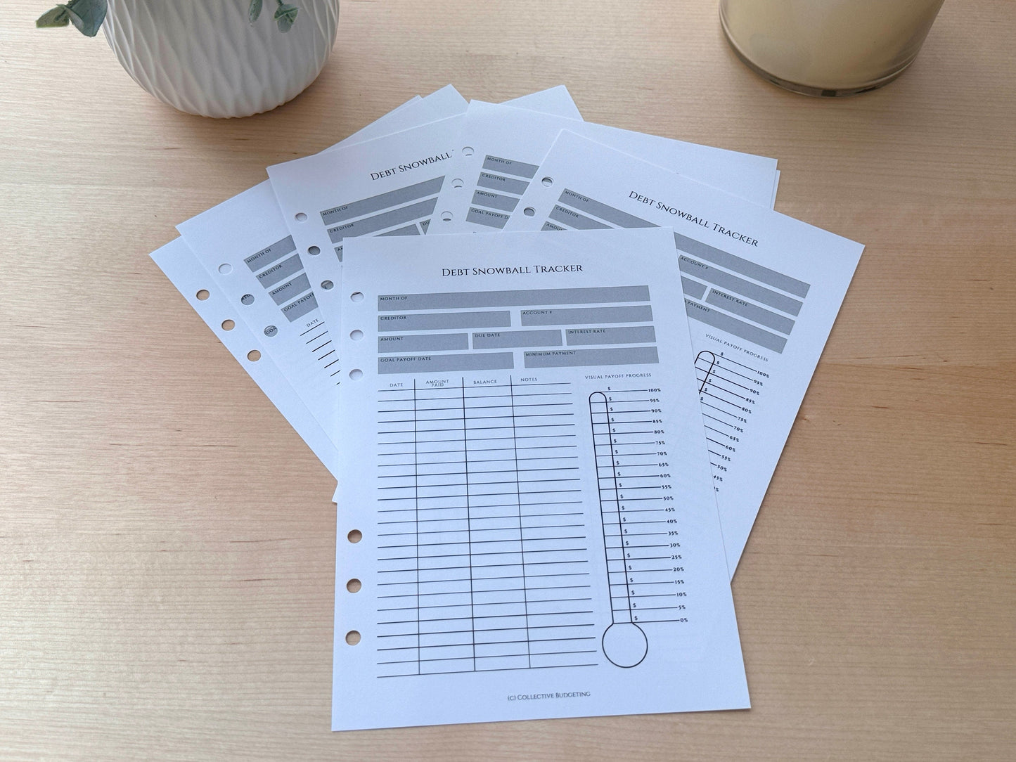 A5 Debt Snowball Tracker Insert: Cash Budgeting Tool