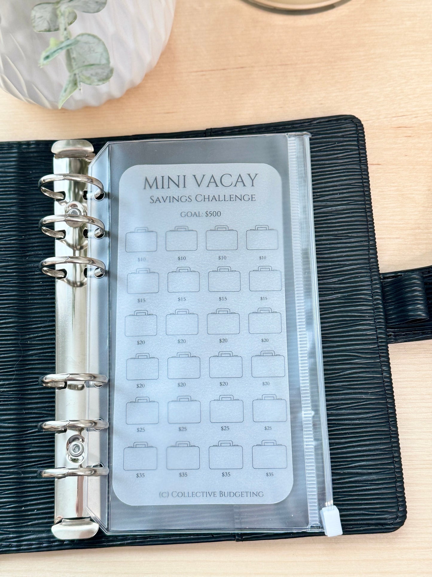 Vacation Savings Challenge Card | Laminated Vellum Cash Tracker for Travel Goals and Budgeting Getaways