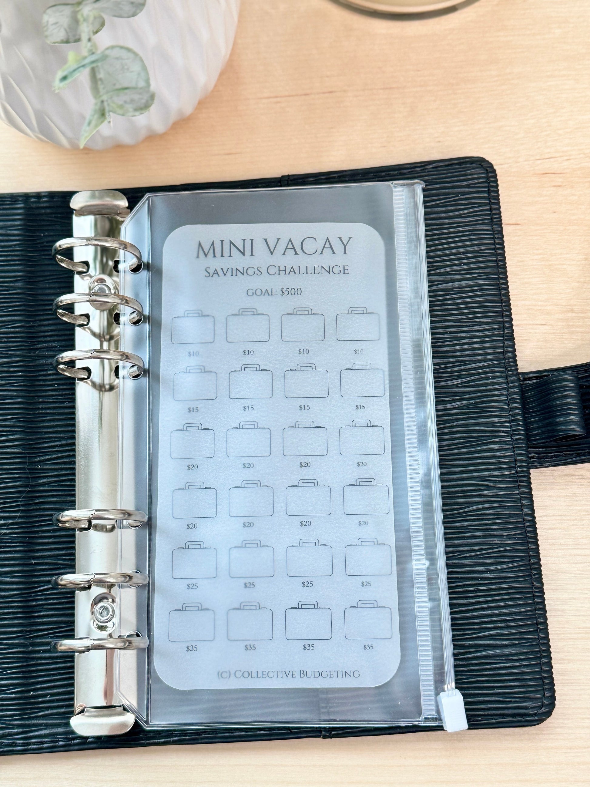 Vacation Savings Challenge Card | Laminated Vellum Cash Tracker for Travel Goals and Budgeting Getaways