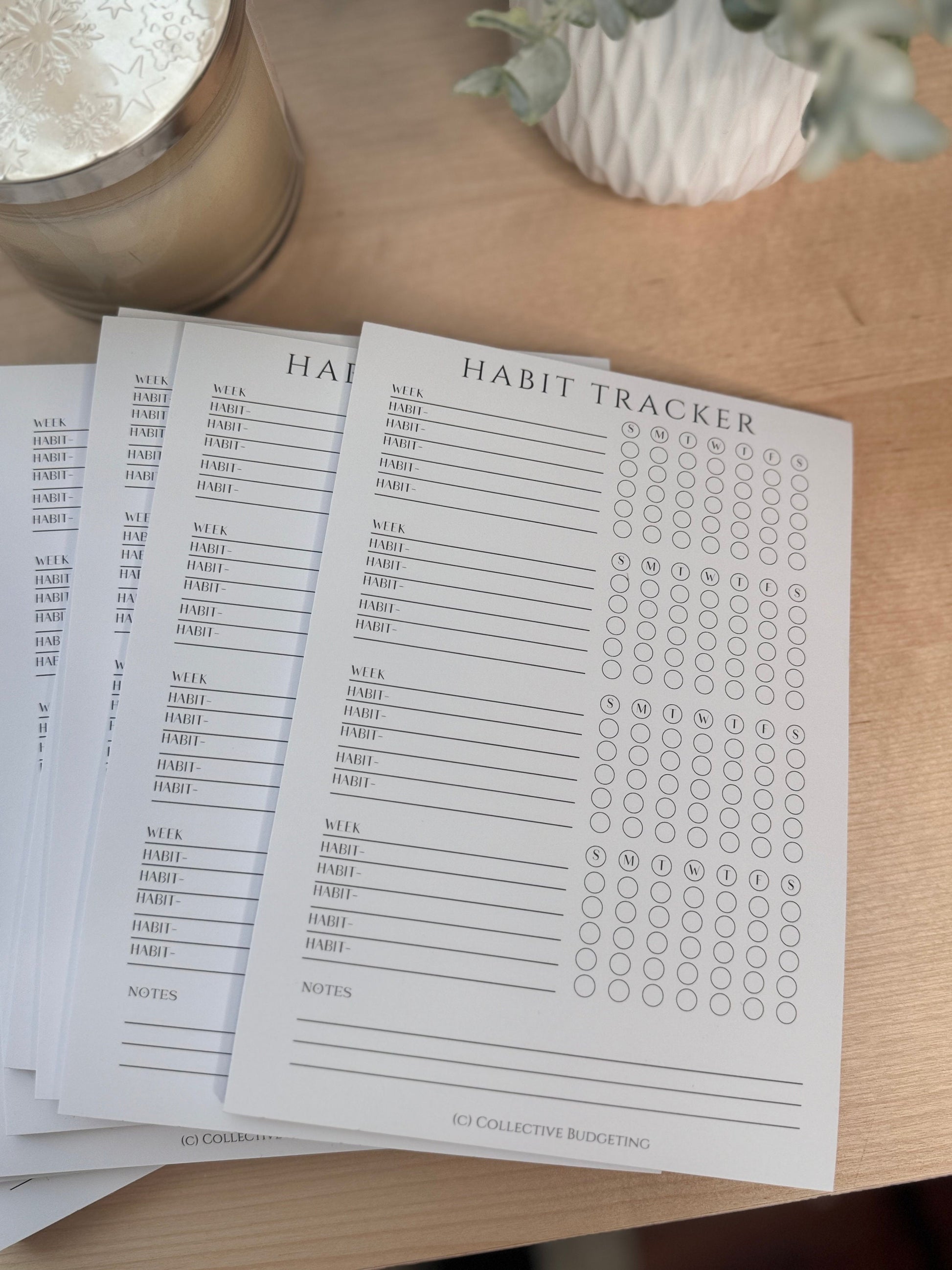 Daily Habit Tracker Notepad: Budgeting & Cash Management (8.25" x 6")