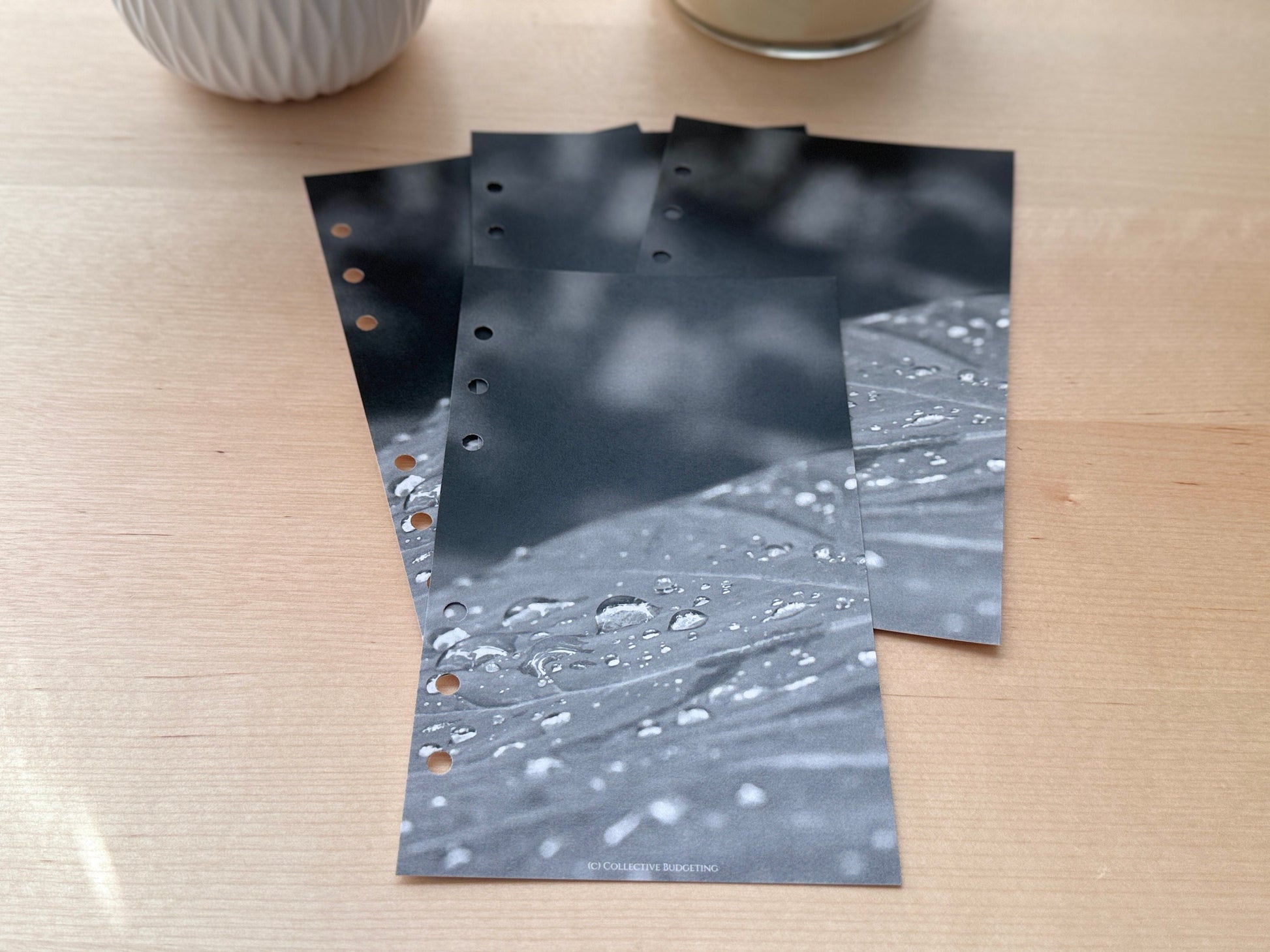 Raindrops on Leaf Budget Binder Dashboard: A5 A6 Cash Stuffing Insert