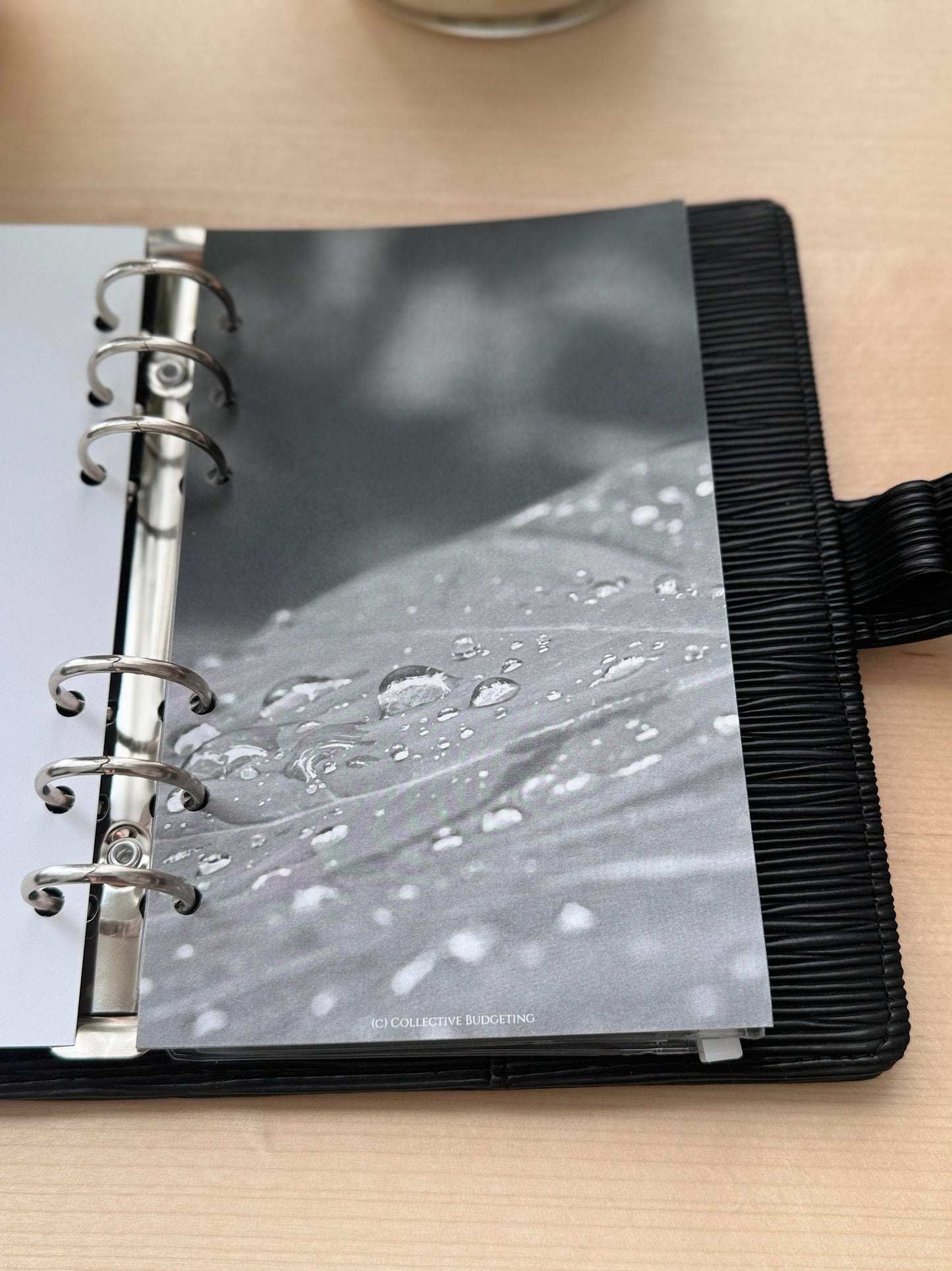 Raindrops on Leaf Budget Binder Dashboard: A5 A6 Cash Stuffing Insert