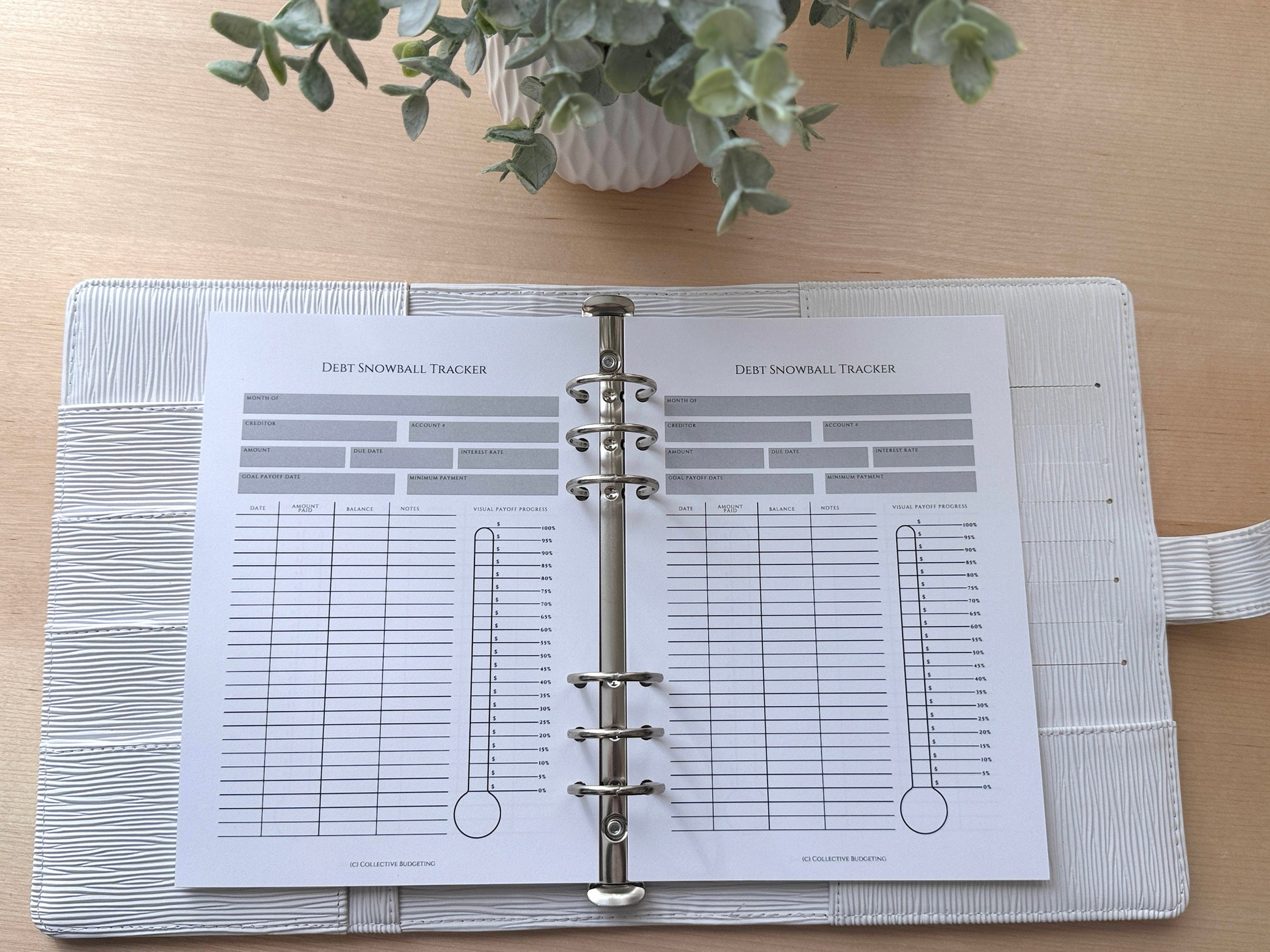 A5 Debt Snowball Tracker Insert: Cash Budgeting Tool