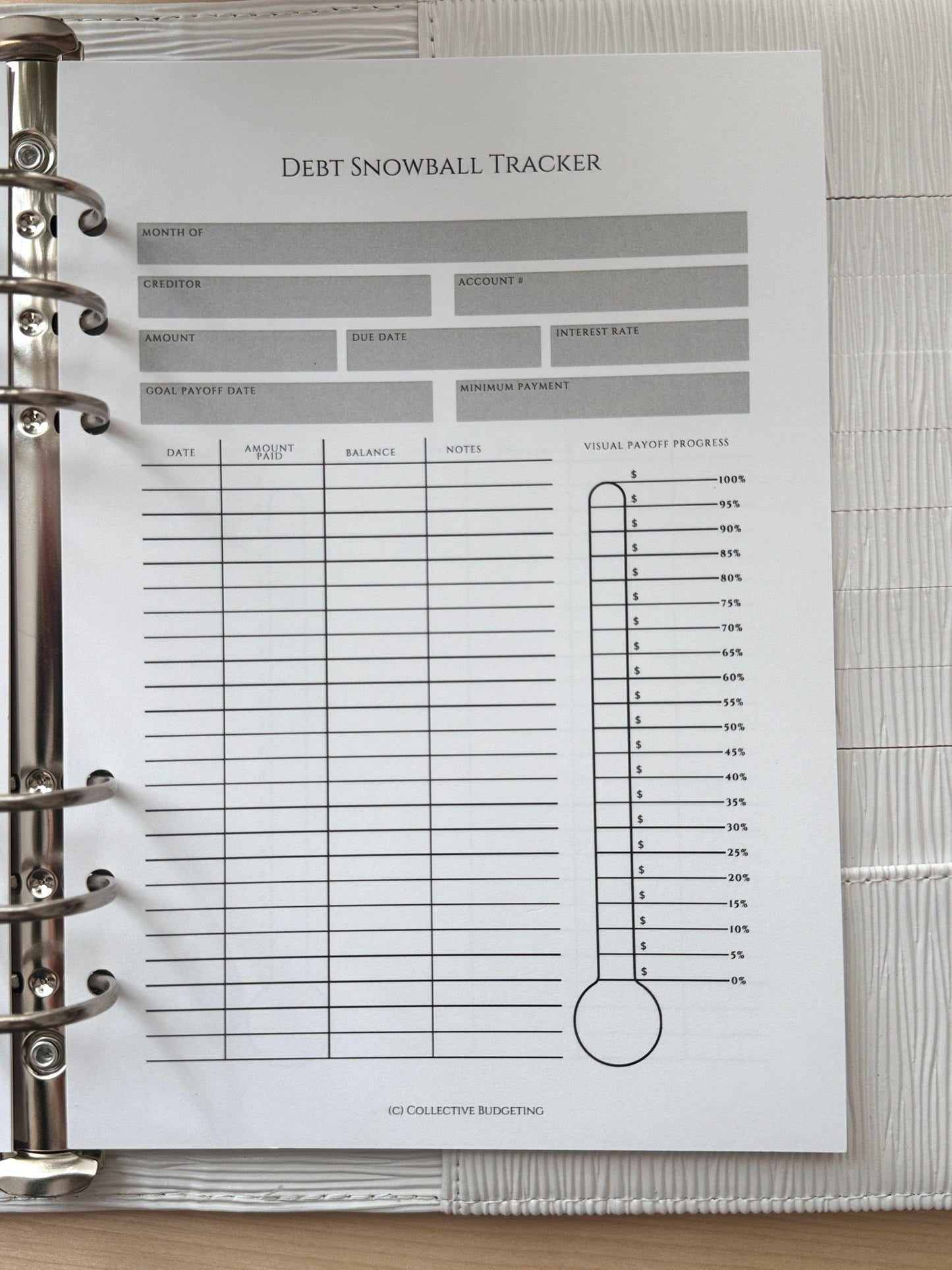 A5 Debt Snowball Tracker Insert: Cash Budgeting Tool