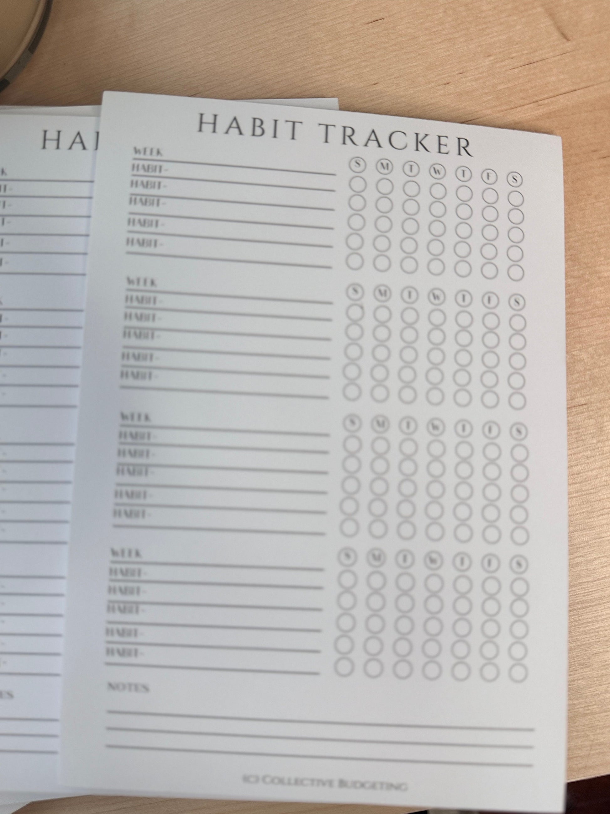Daily Habit Tracker Notepad: Budgeting & Cash Management (8.25" x 6")